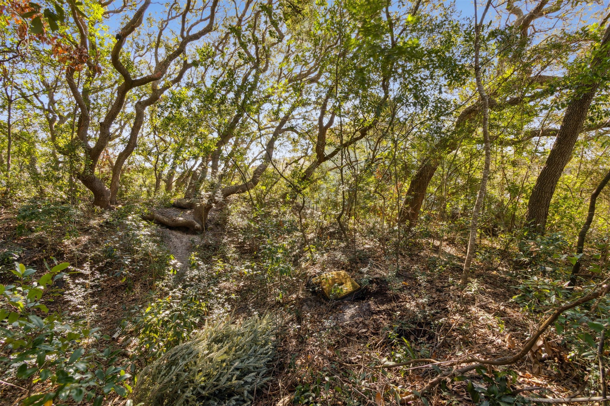 Lot 8 1ST AVENUE