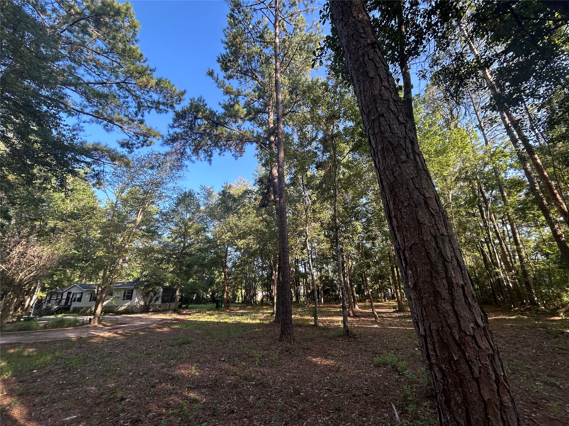 44049 CAULKINS DRIVE