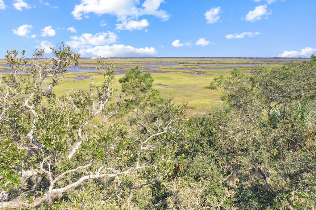 96634 SOAP CREEK DRIVE