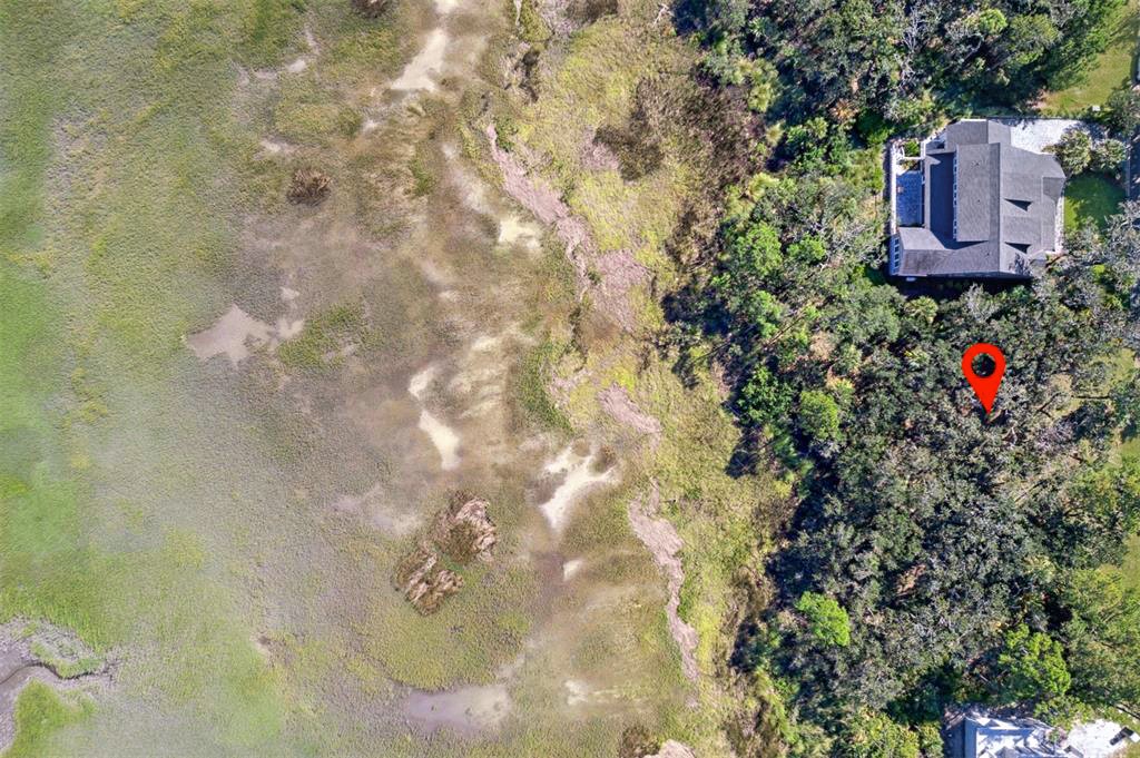 96634 SOAP CREEK DRIVE