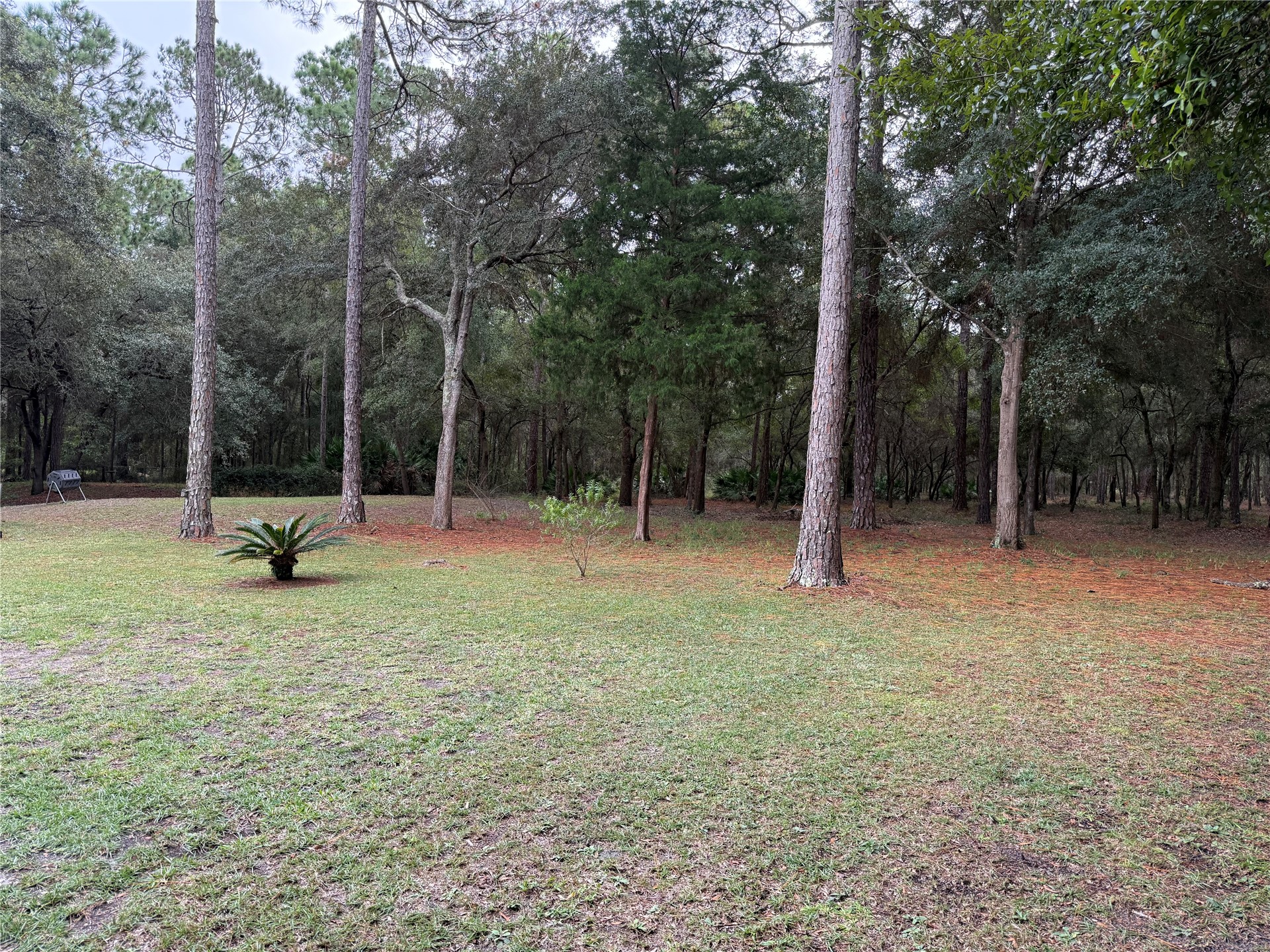 96118 GREEN PINE ROAD