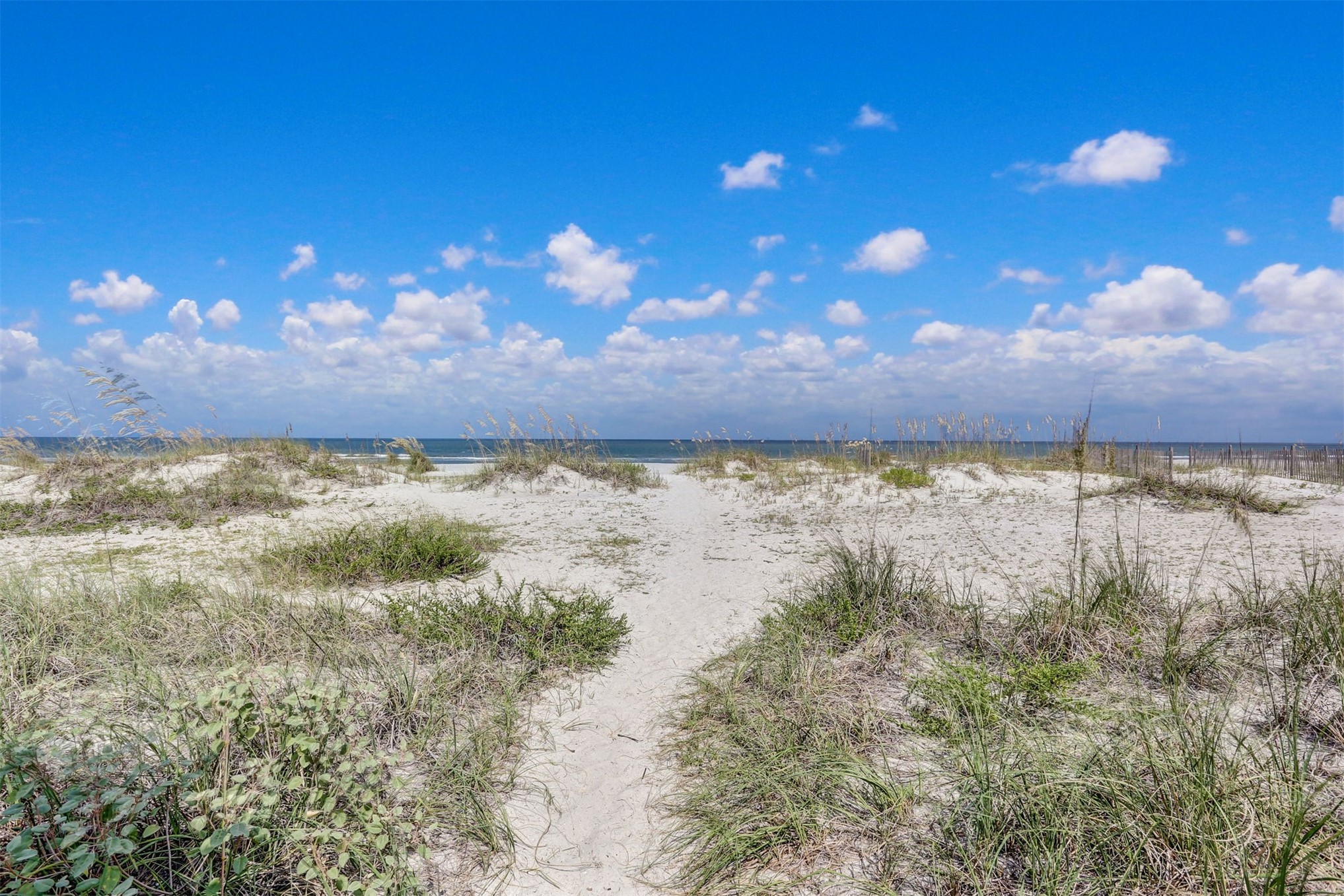 1169 BEACH WALKER ROAD 1169