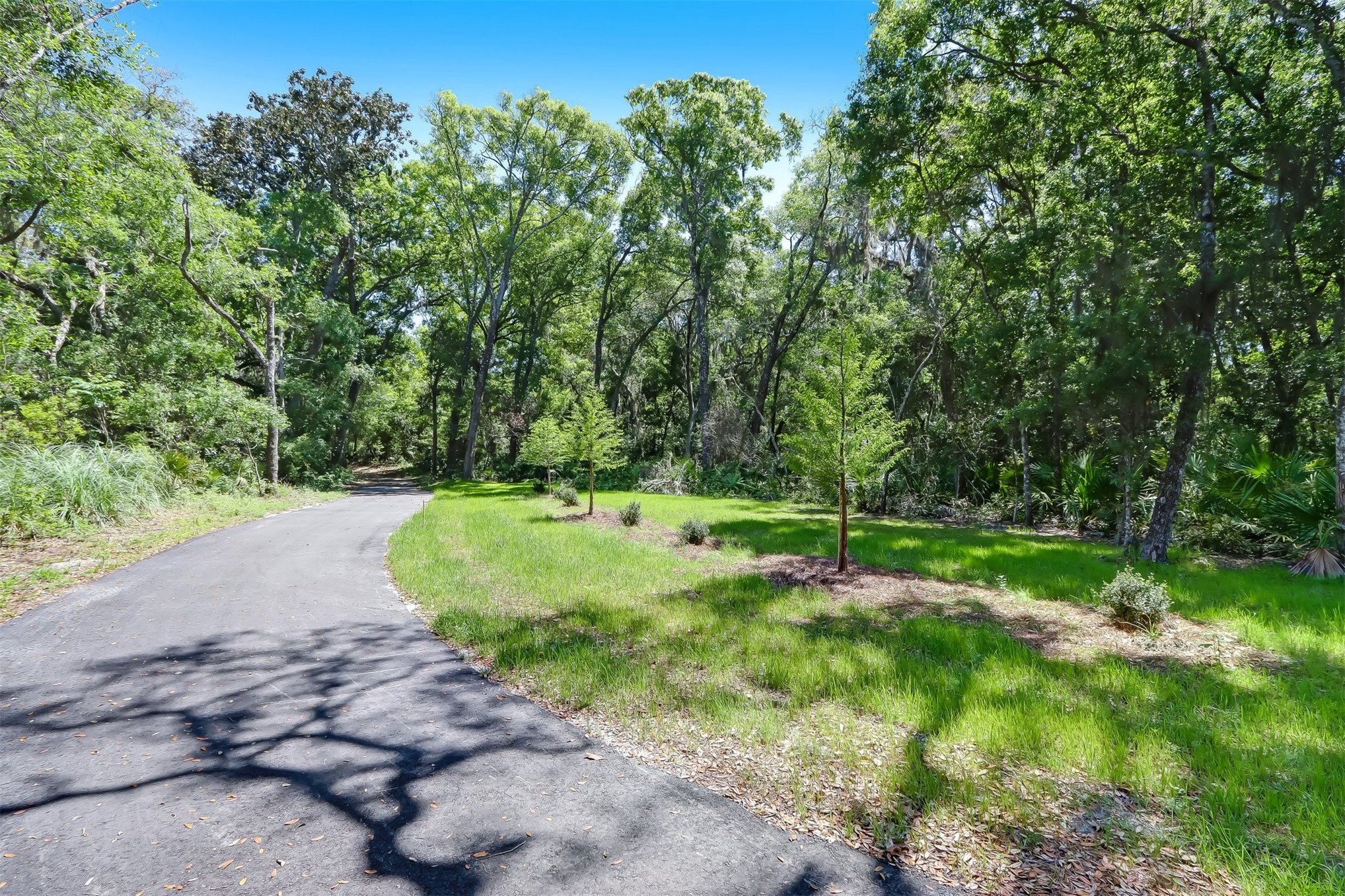 96109 HANGING MOSS DRIVE