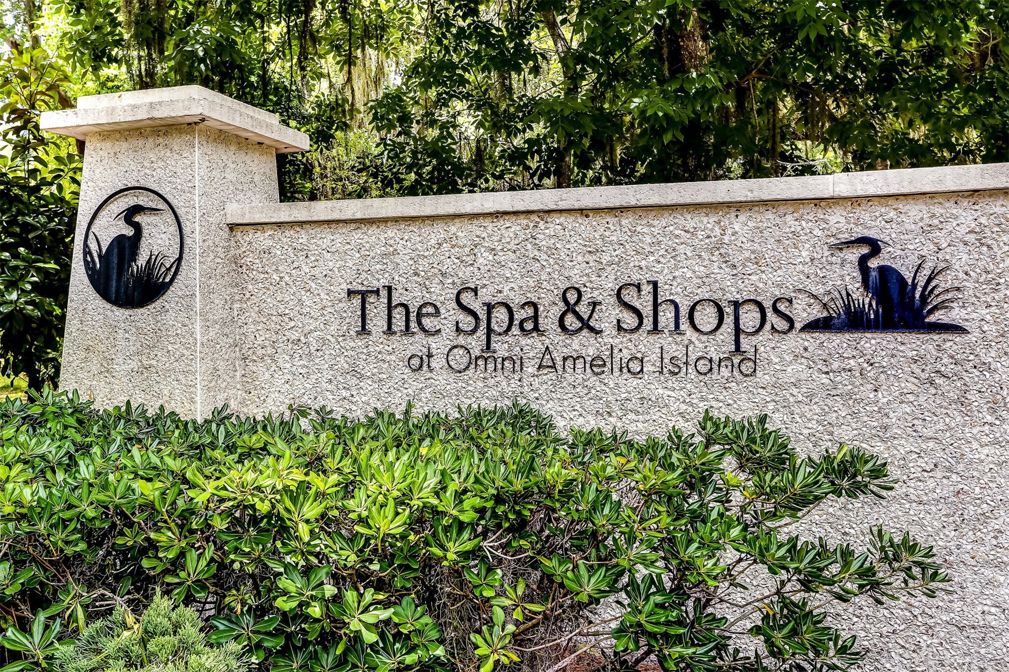 1123 BEACH WALKER ROAD