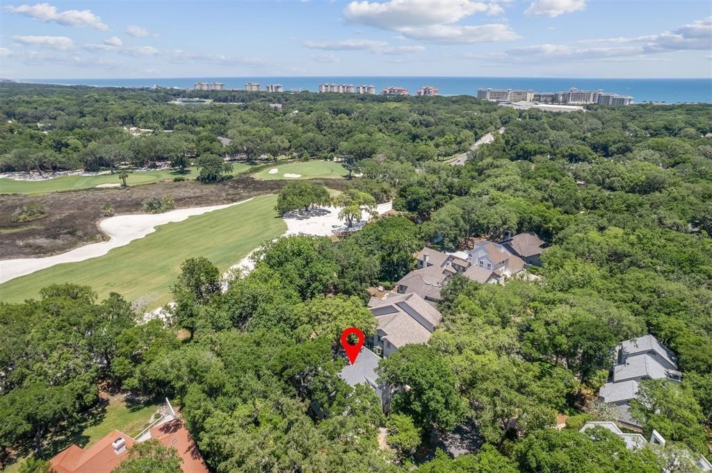 22 BELTED KINGFISHER