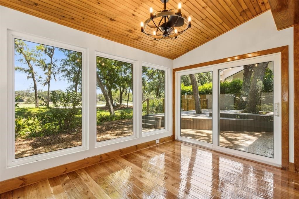 22 BELTED KINGFISHER