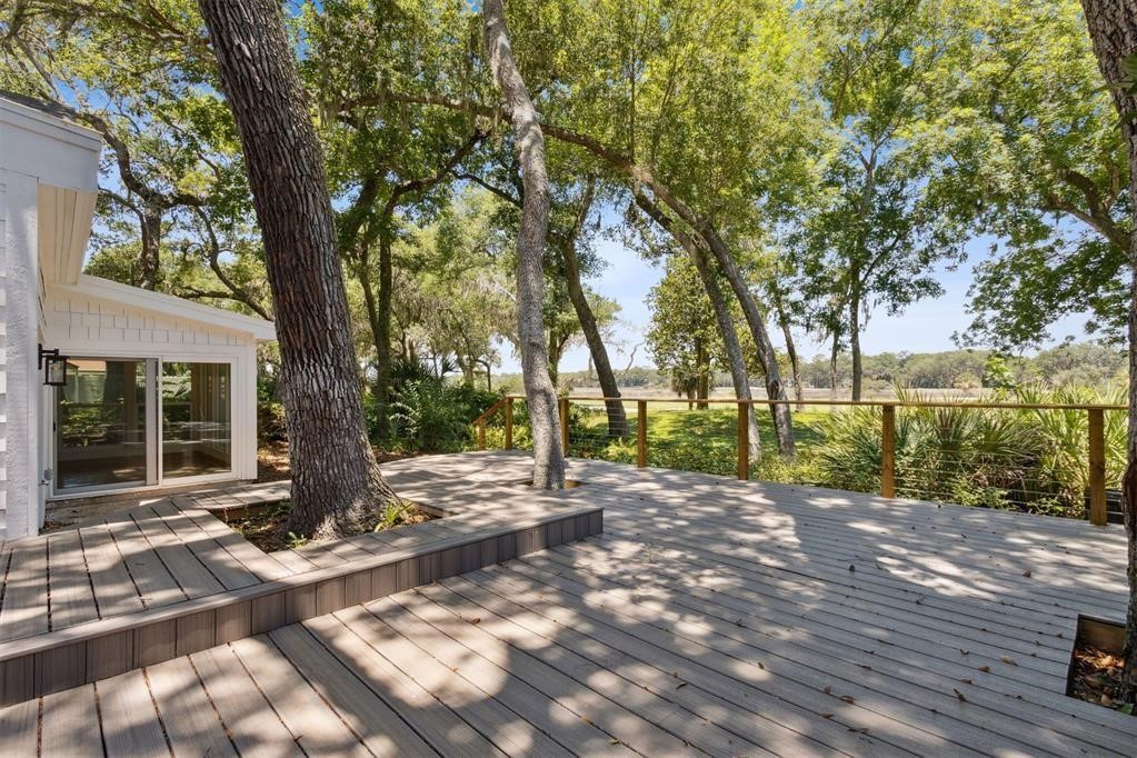 22 BELTED KINGFISHER