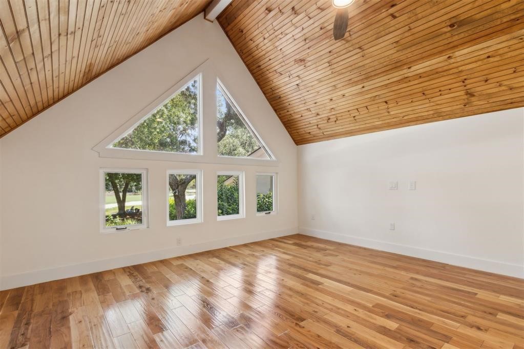 22 BELTED KINGFISHER