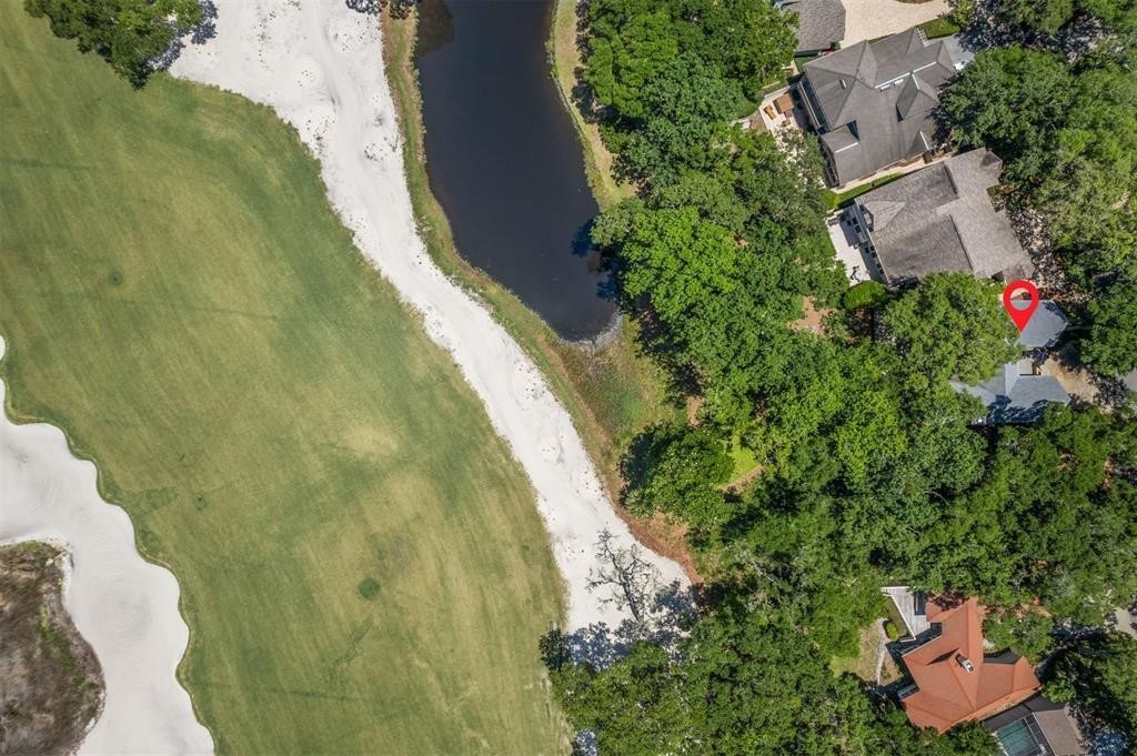 22 BELTED KINGFISHER