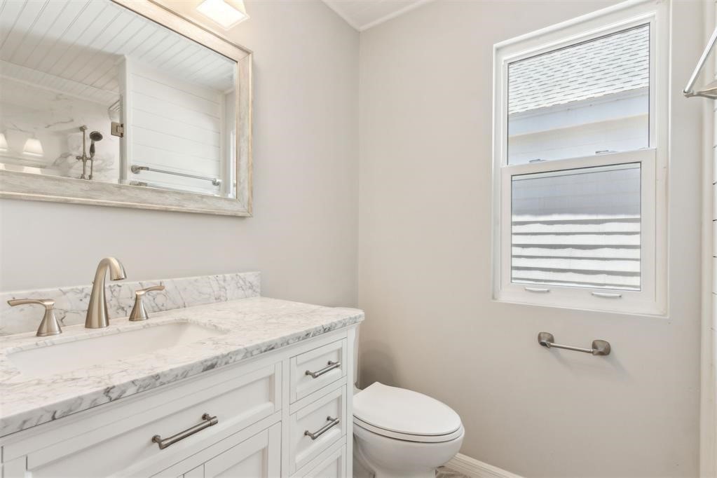 22 BELTED KINGFISHER