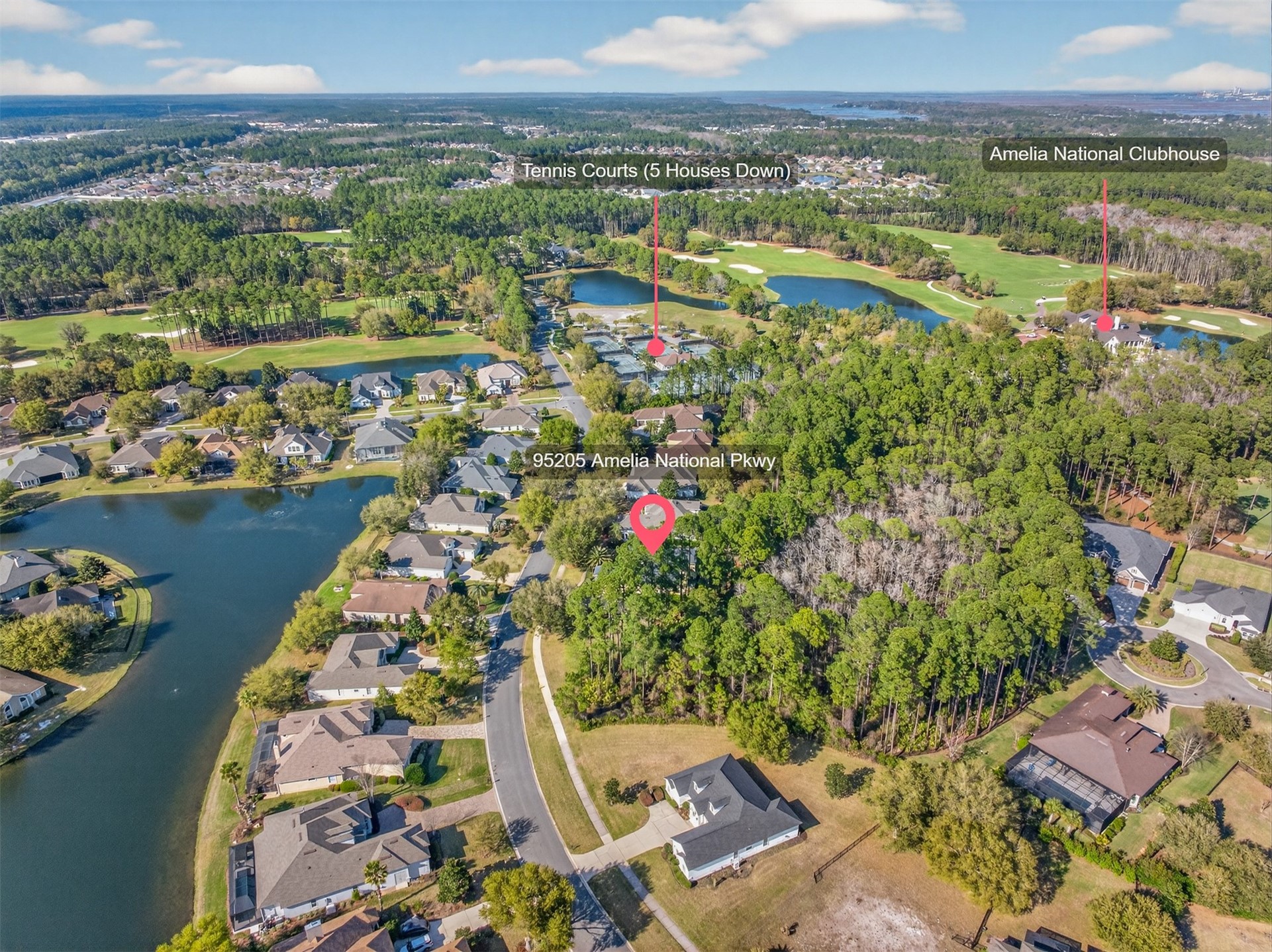 95205 AMELIA NATIONAL