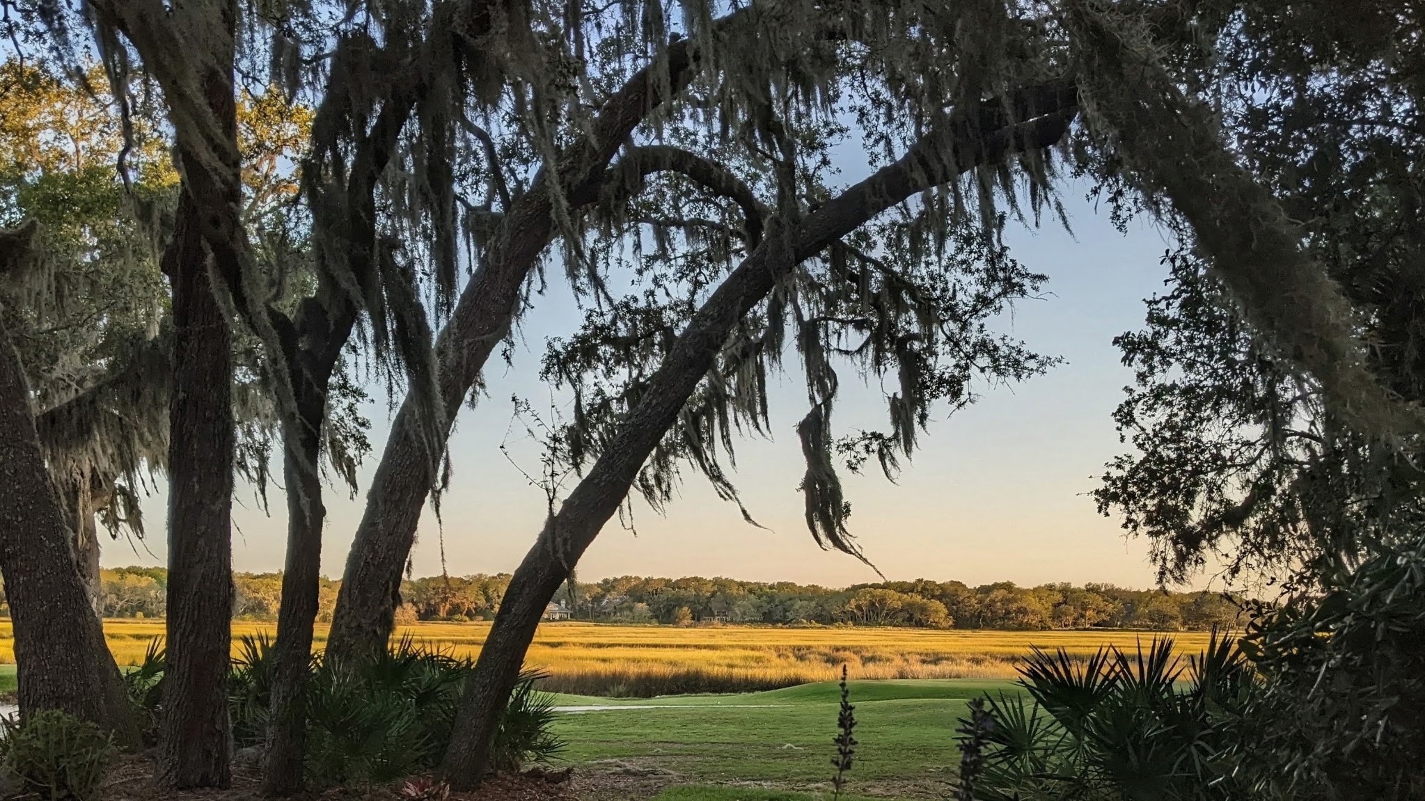 3063 SEA MARSH ROAD