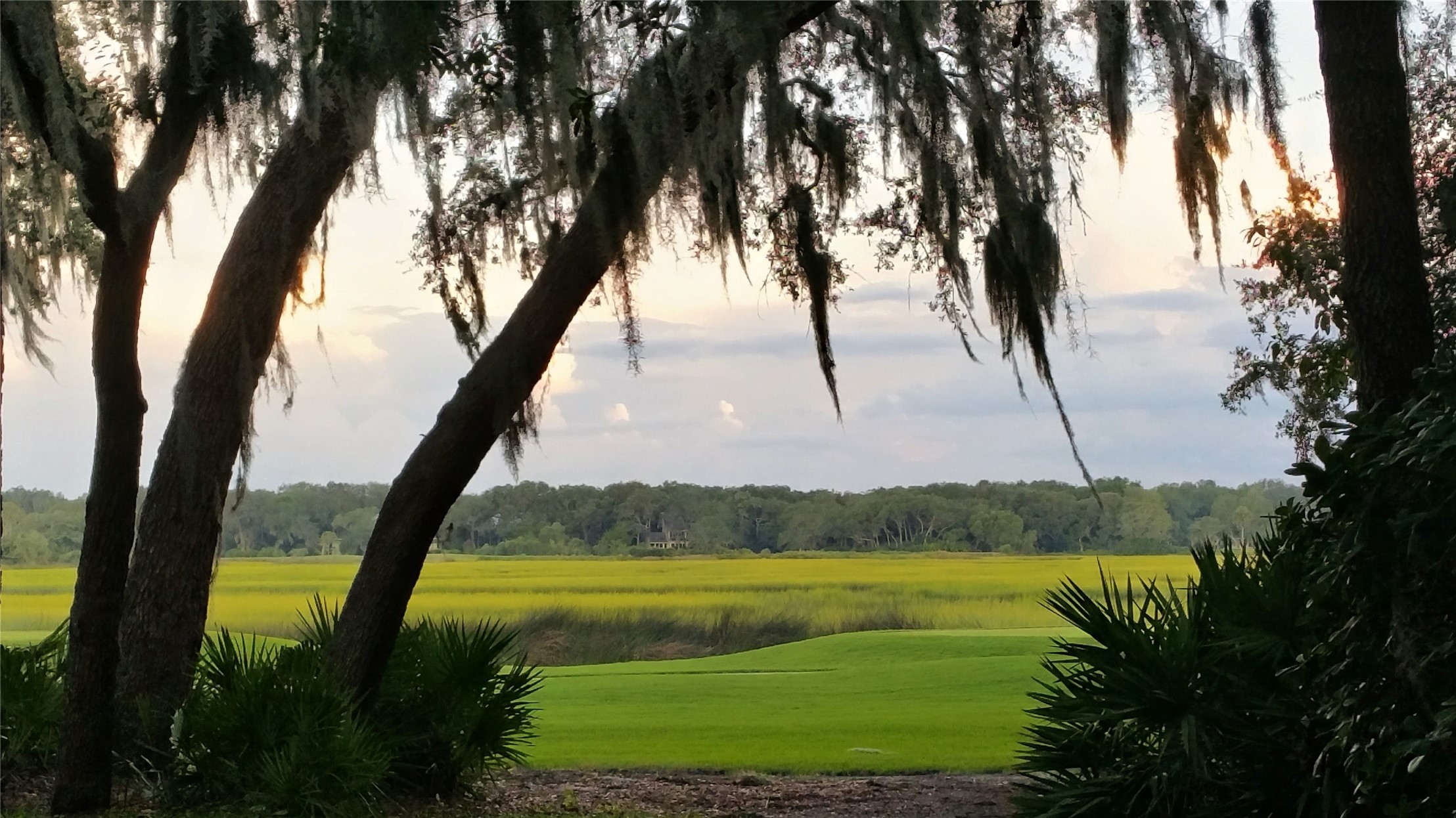 3063 SEA MARSH ROAD