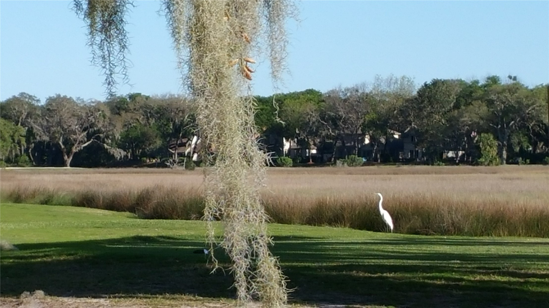 3063 SEA MARSH ROAD