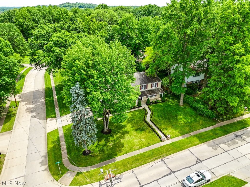 3299 Morewood Road