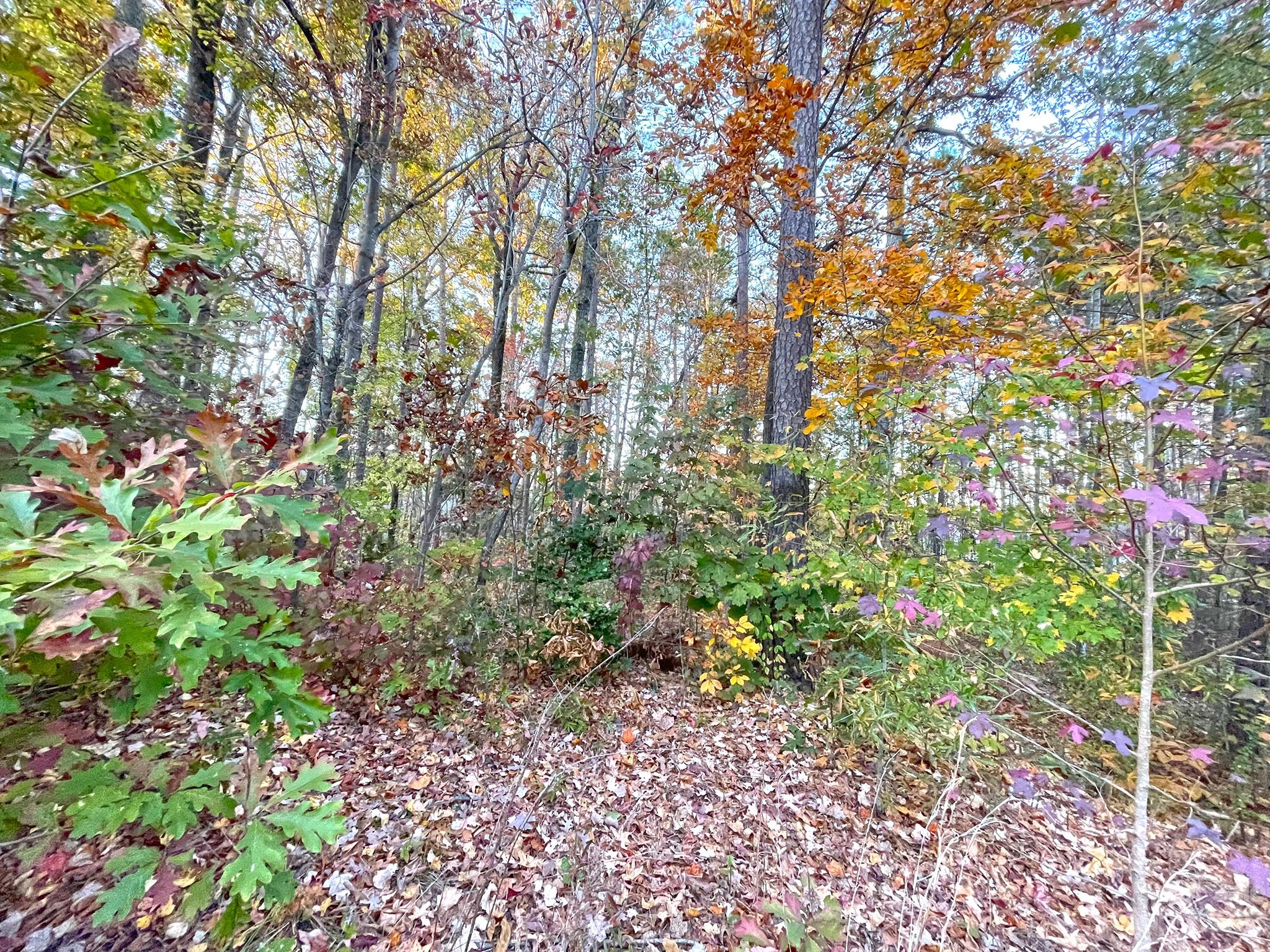 1065 Shawnee Trail