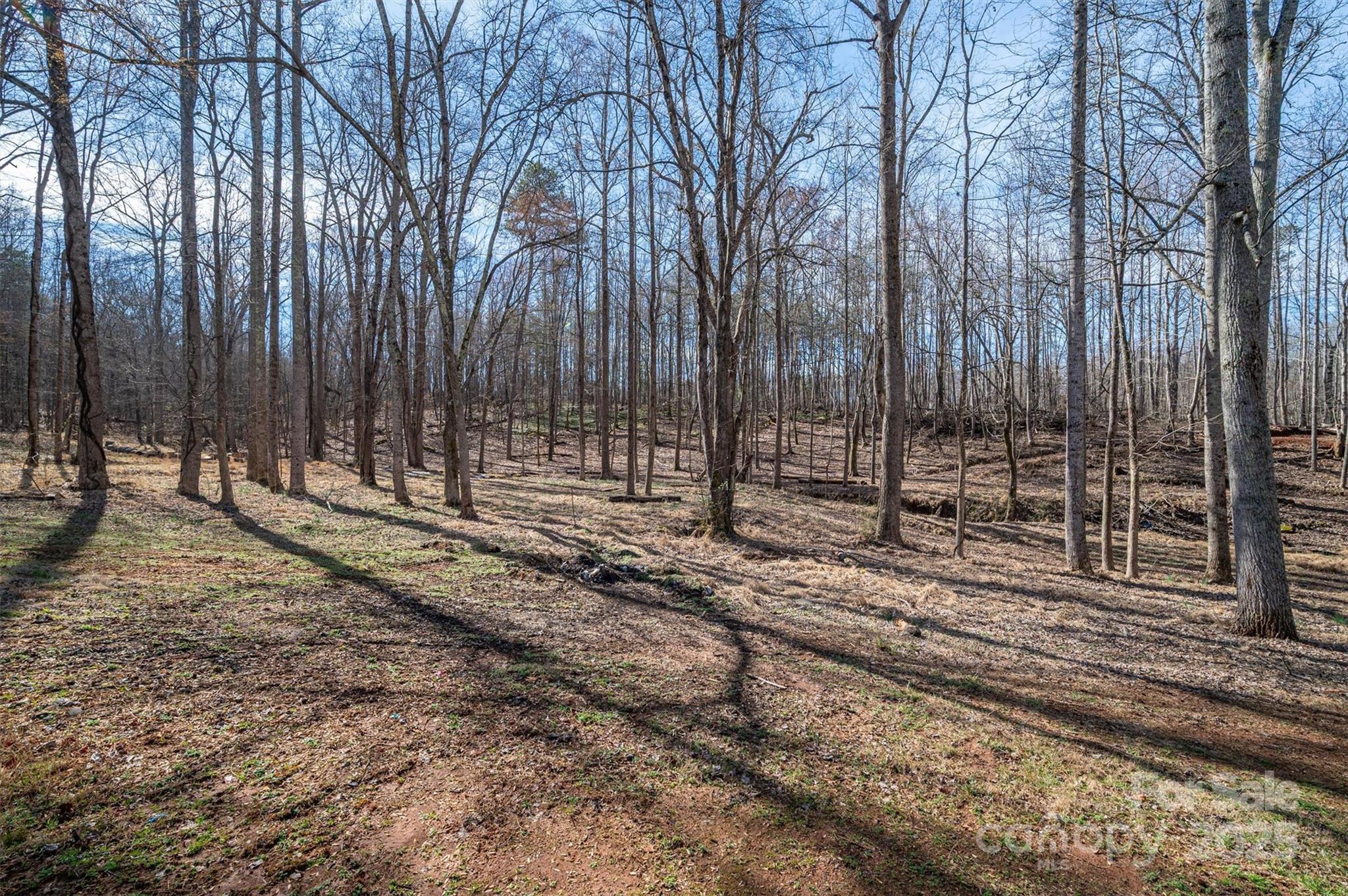 246 Jerry Crump Road