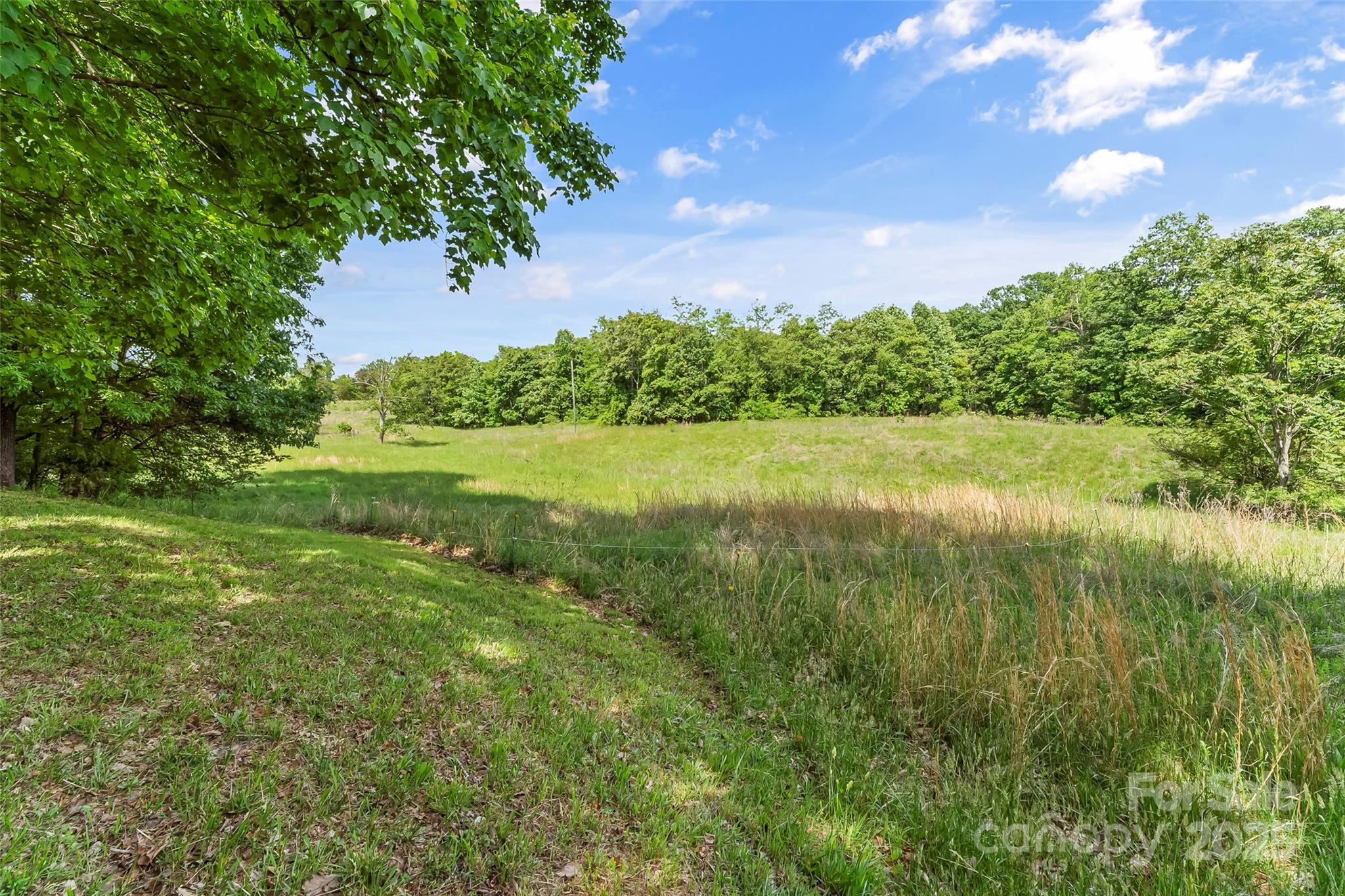 536 Brookhaven Road