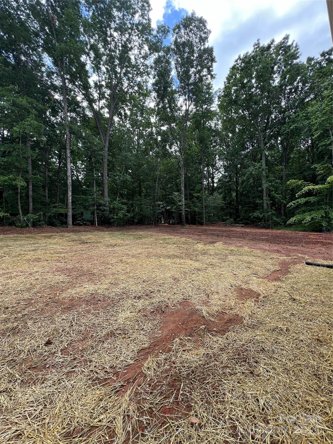 1987 Robert Rufty Lane