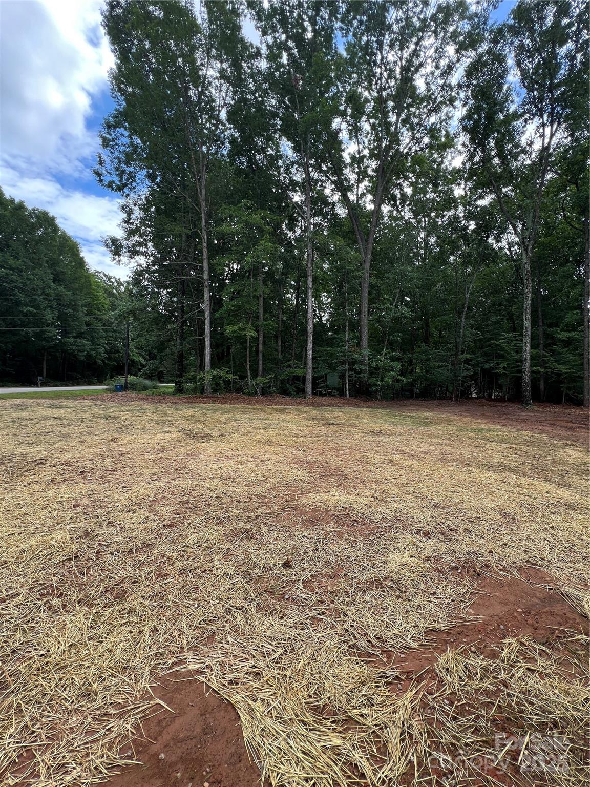 1987 Robert Rufty Lane