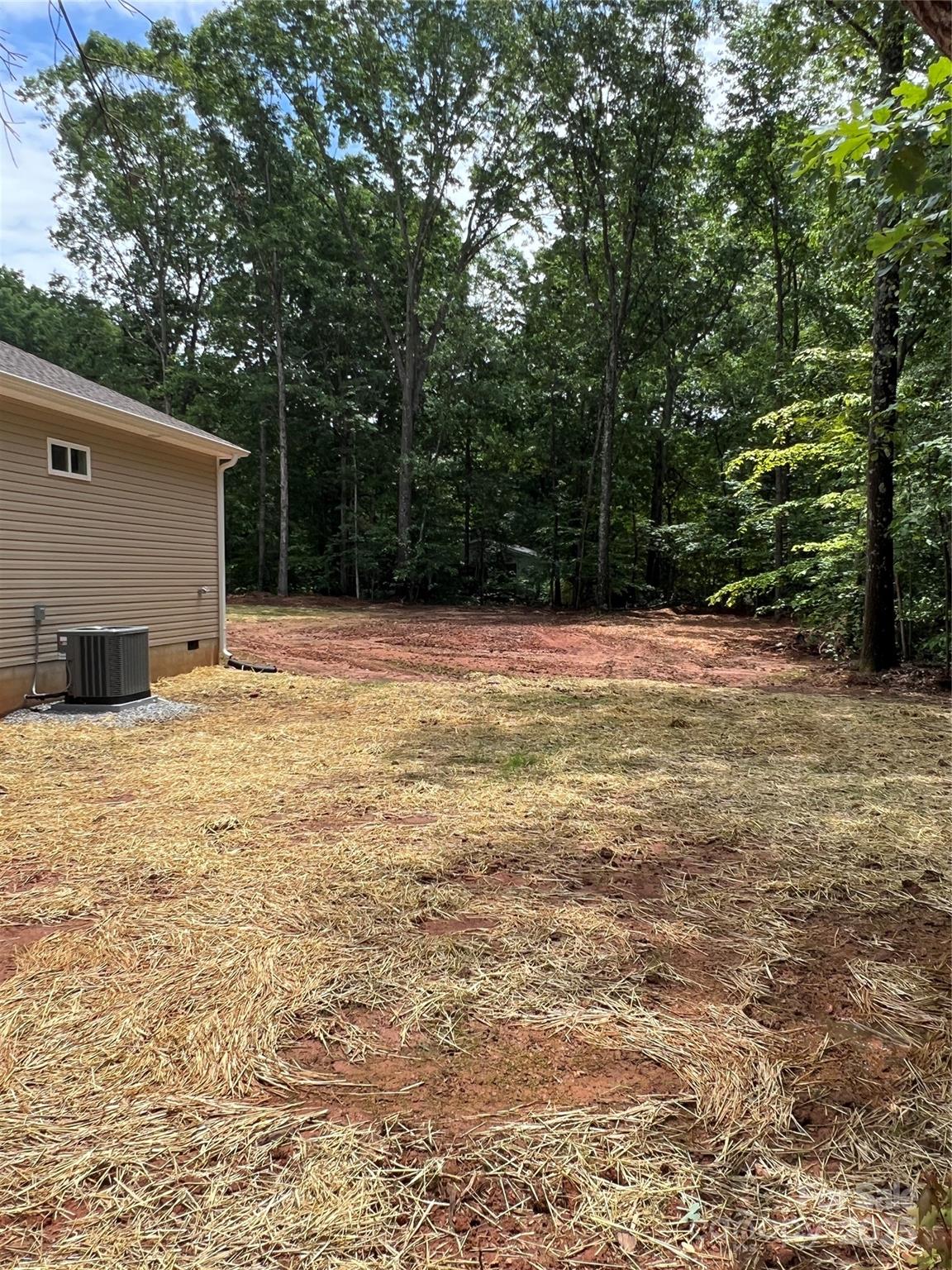 1987 Robert Rufty Lane