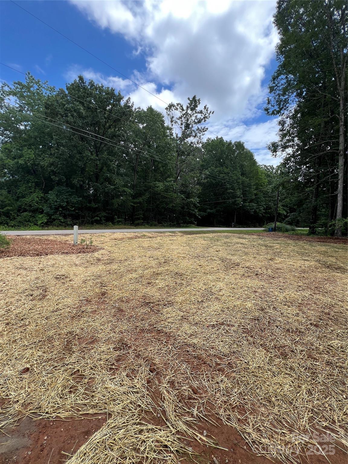 1987 Robert Rufty Lane