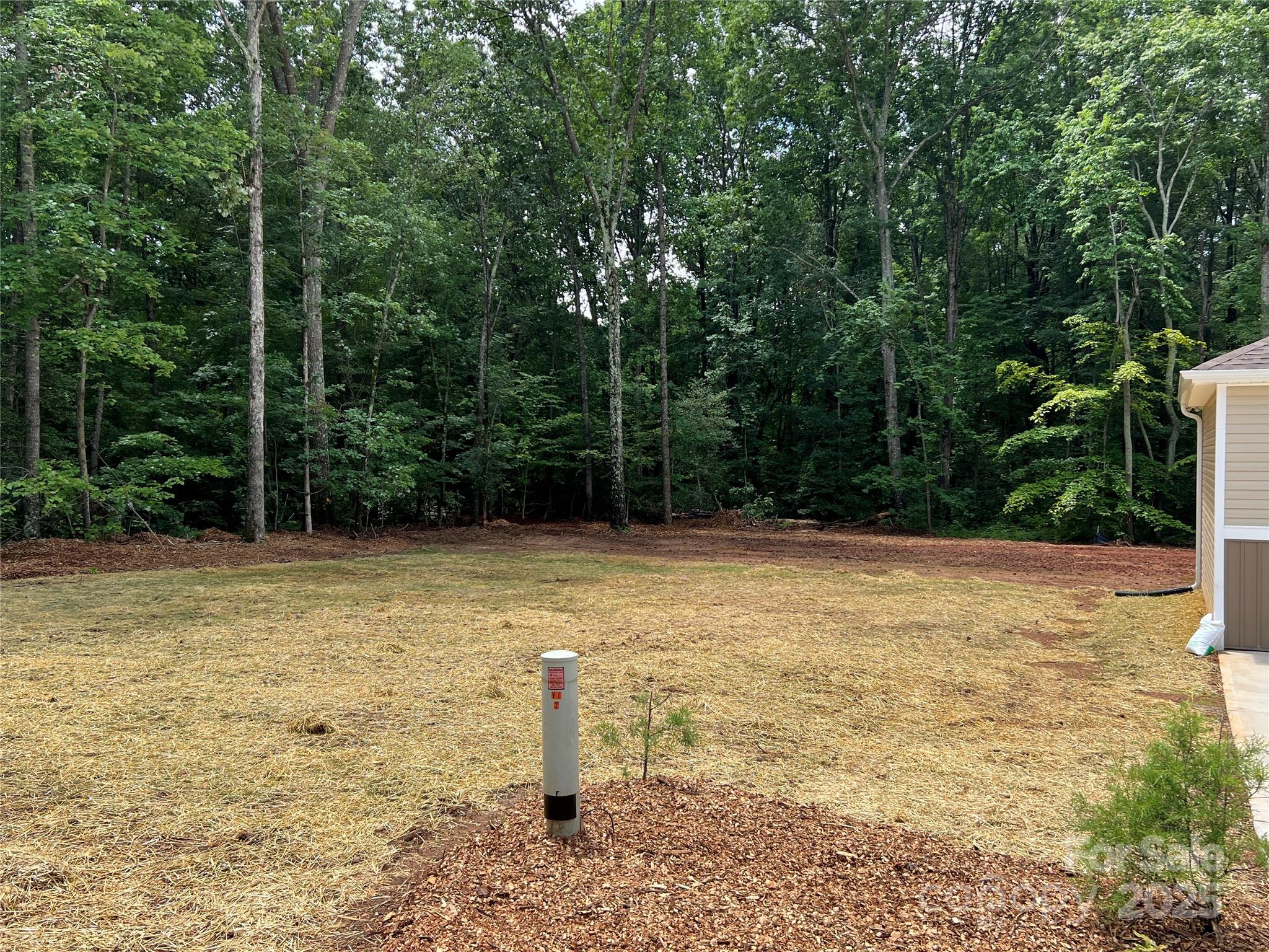 1987 Robert Rufty Lane