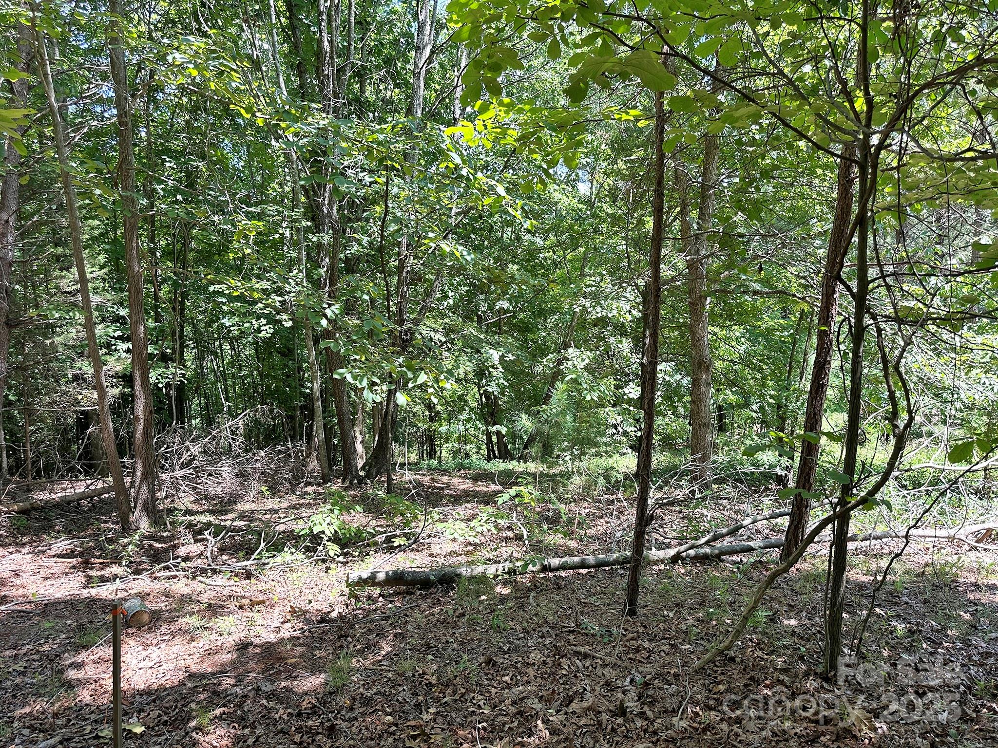 547 Stewart Rock Road