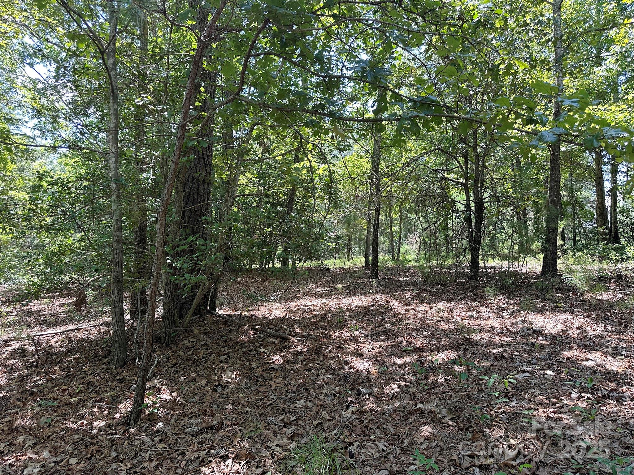 547 Stewart Rock Road