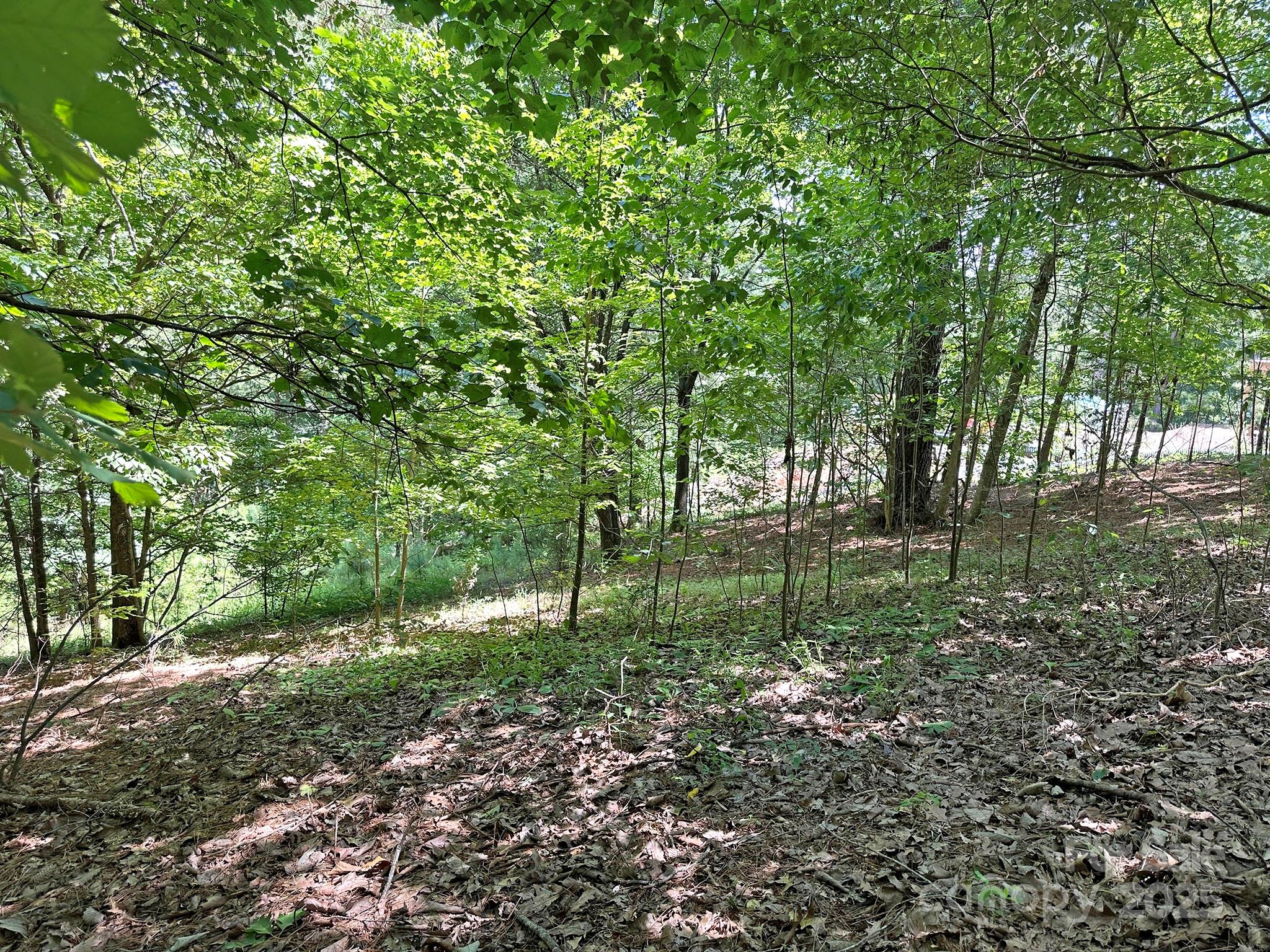 547 Stewart Rock Road
