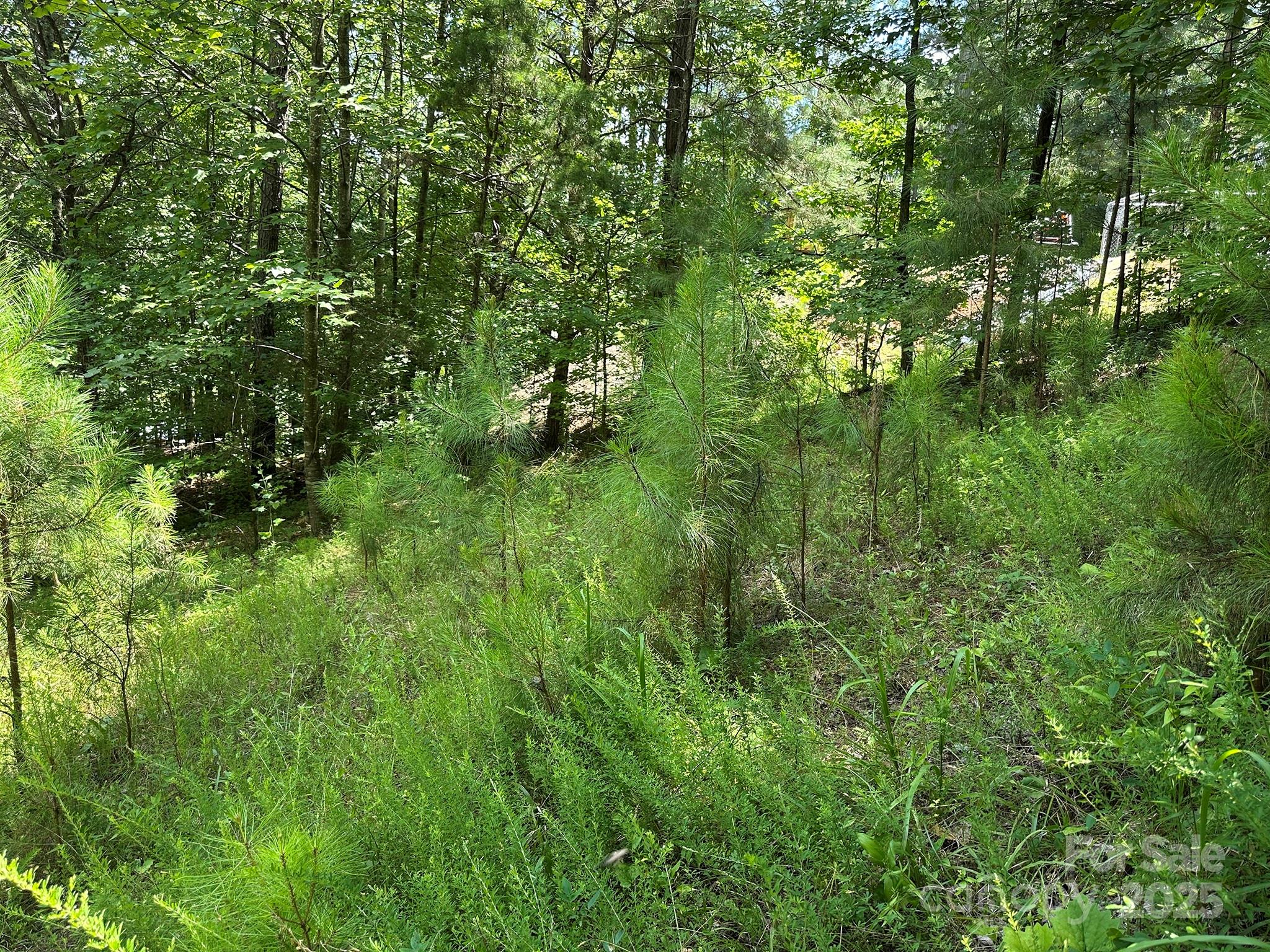 547 Stewart Rock Road