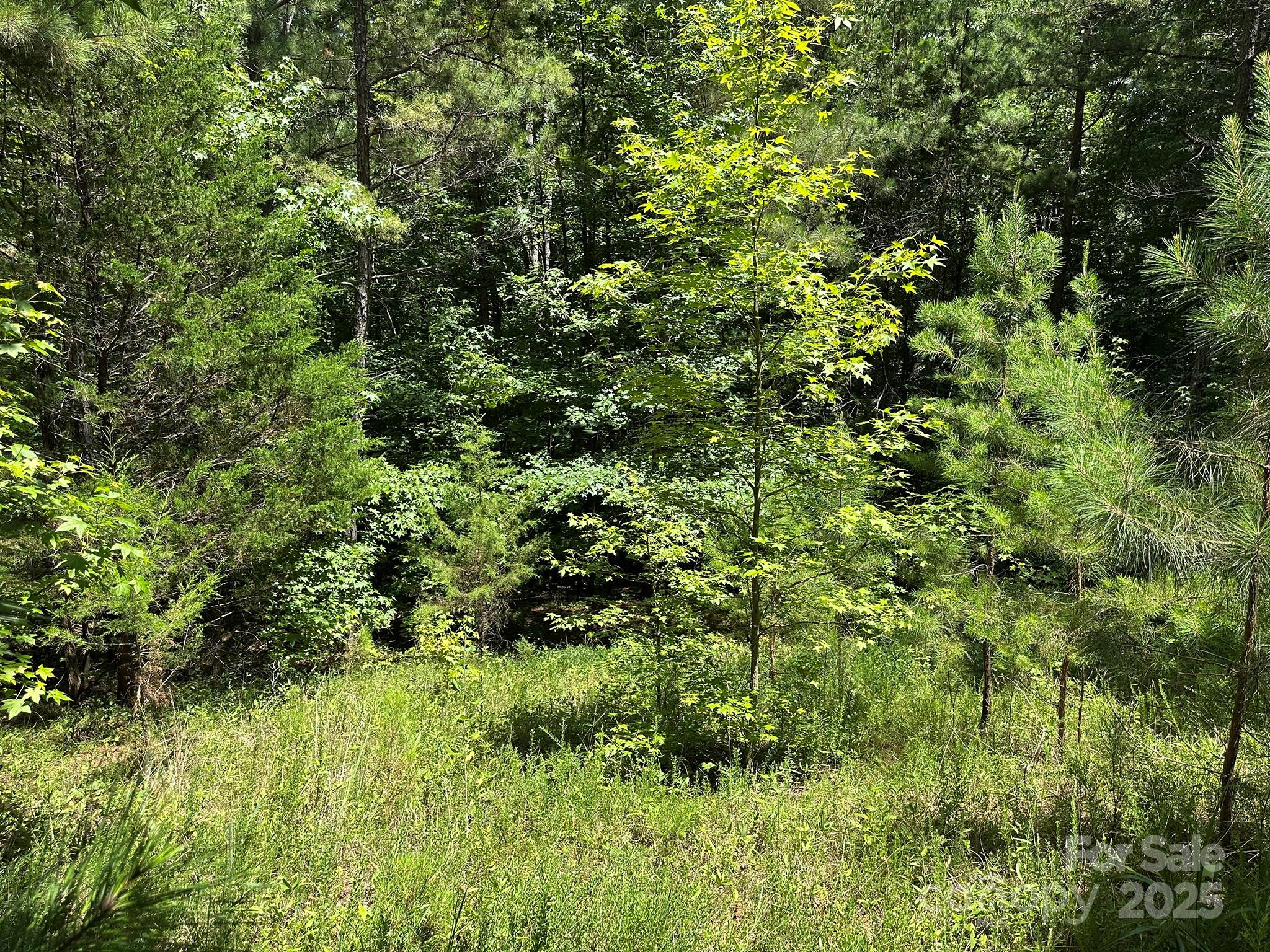 547 Stewart Rock Road
