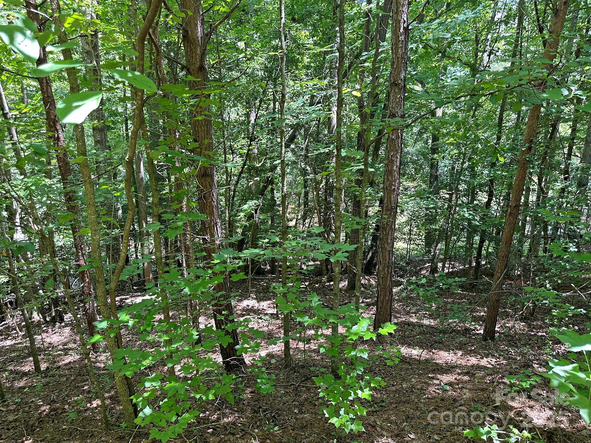 547 Stewart Rock Road