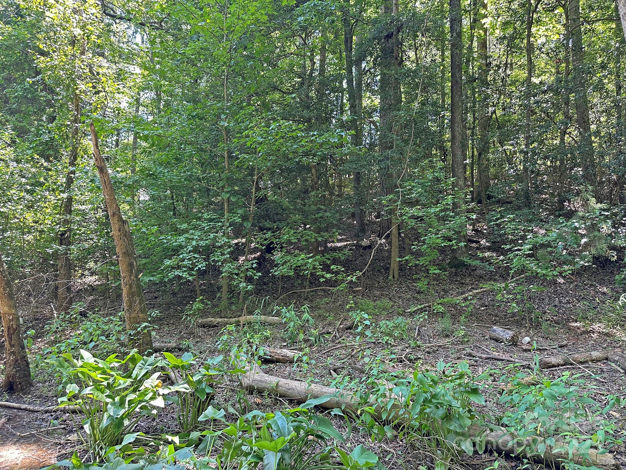547 Stewart Rock Road