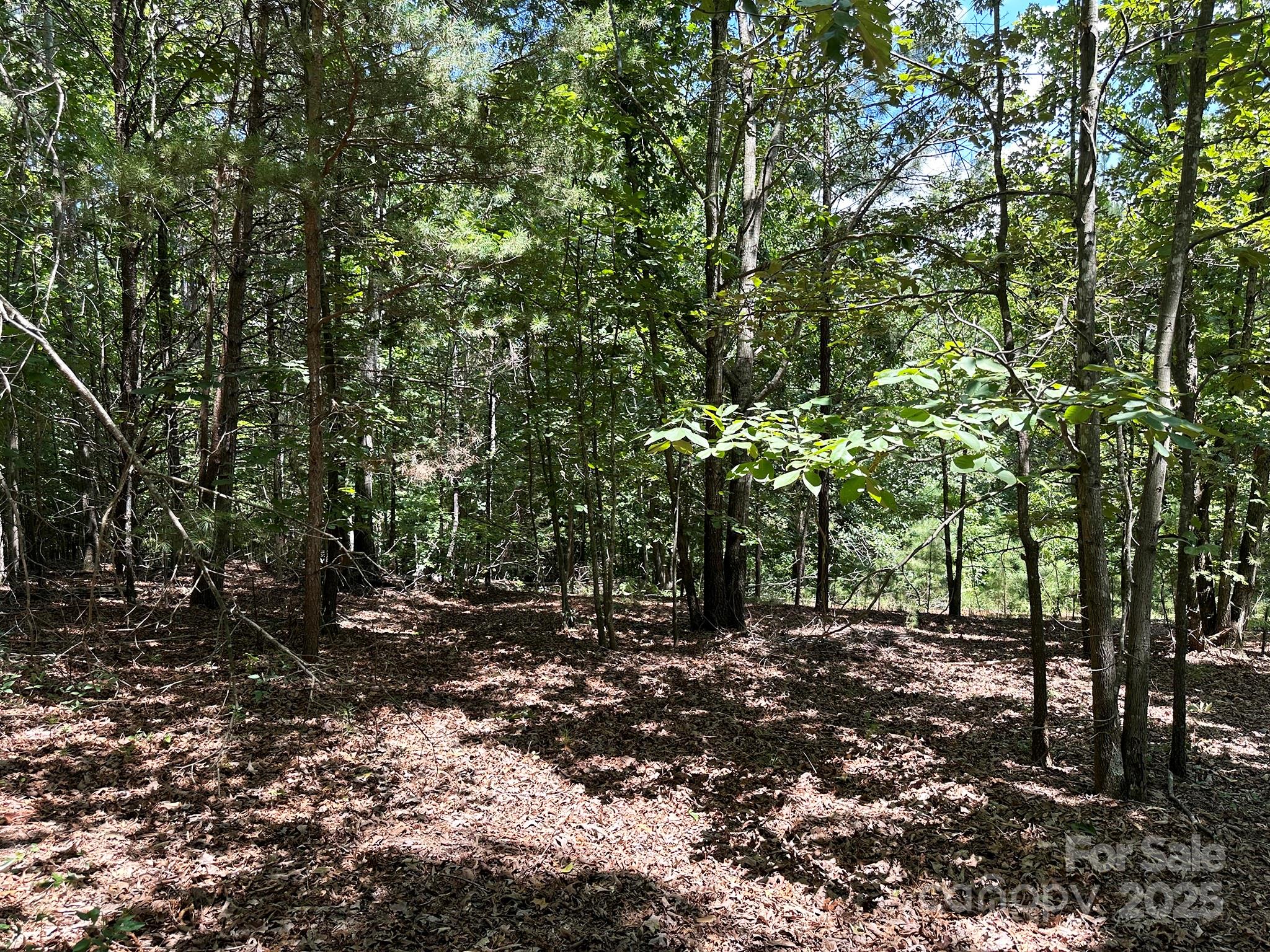 547 Stewart Rock Road