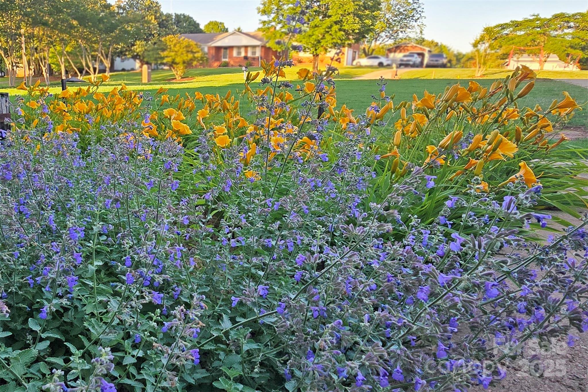 16917 Knoxwood Drive