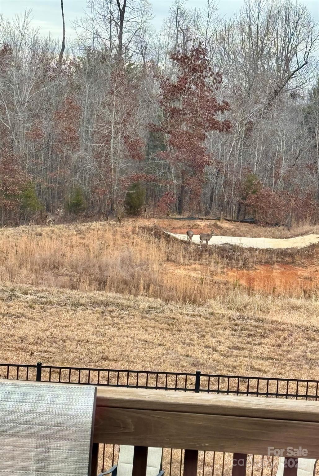 122 Cotton Creek Drive