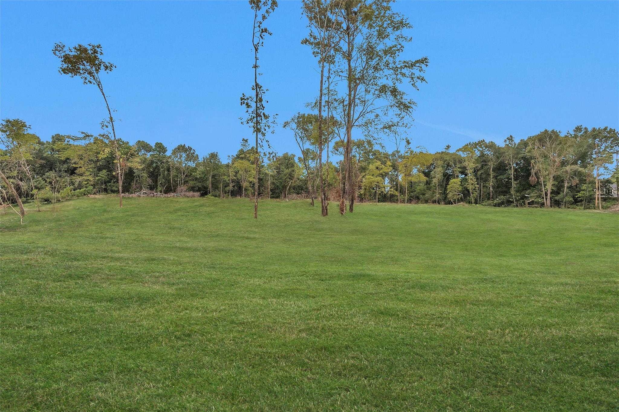 10.548 Acres Womack Cemetery Road