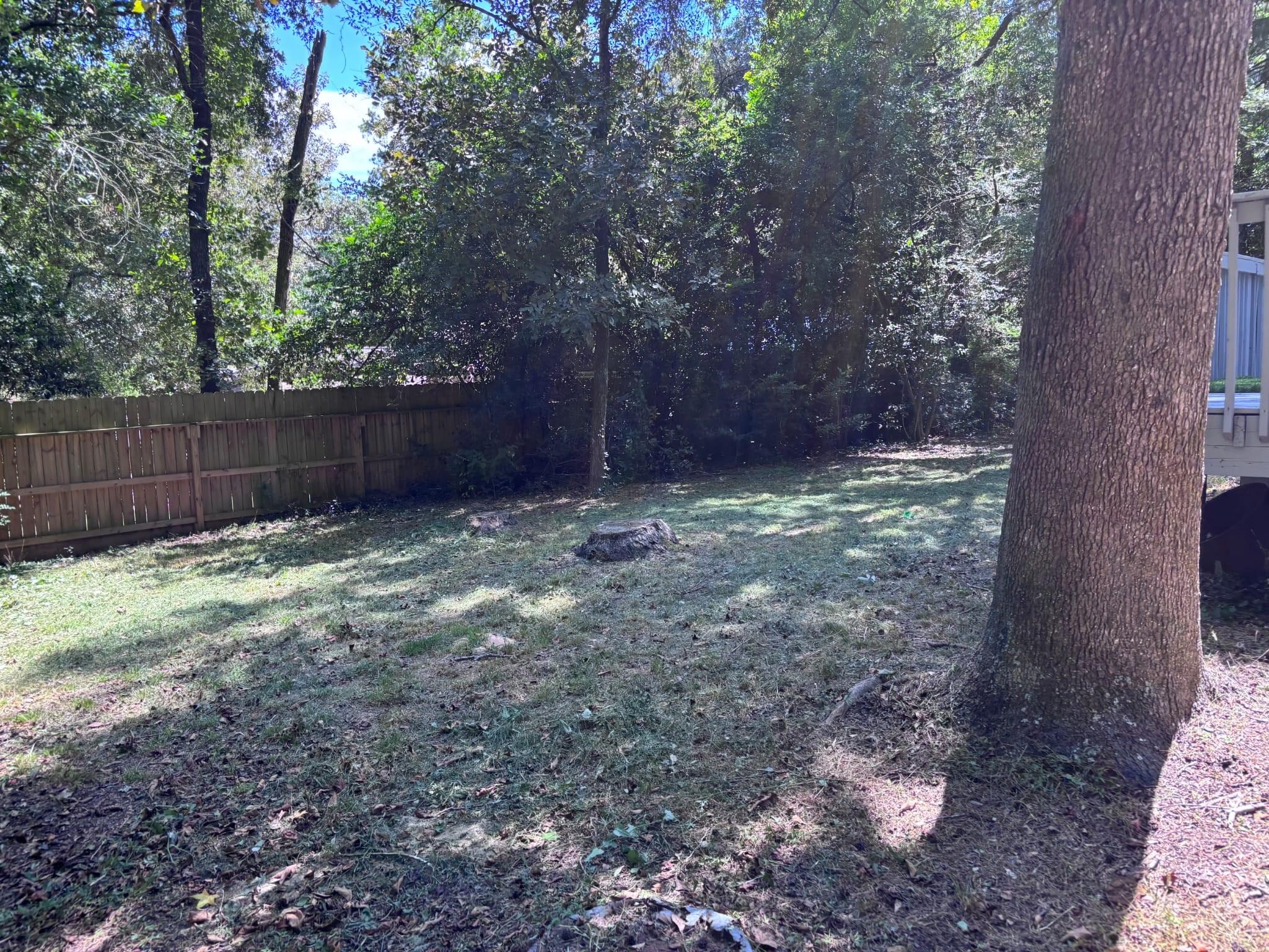 16793 Stinson Lane