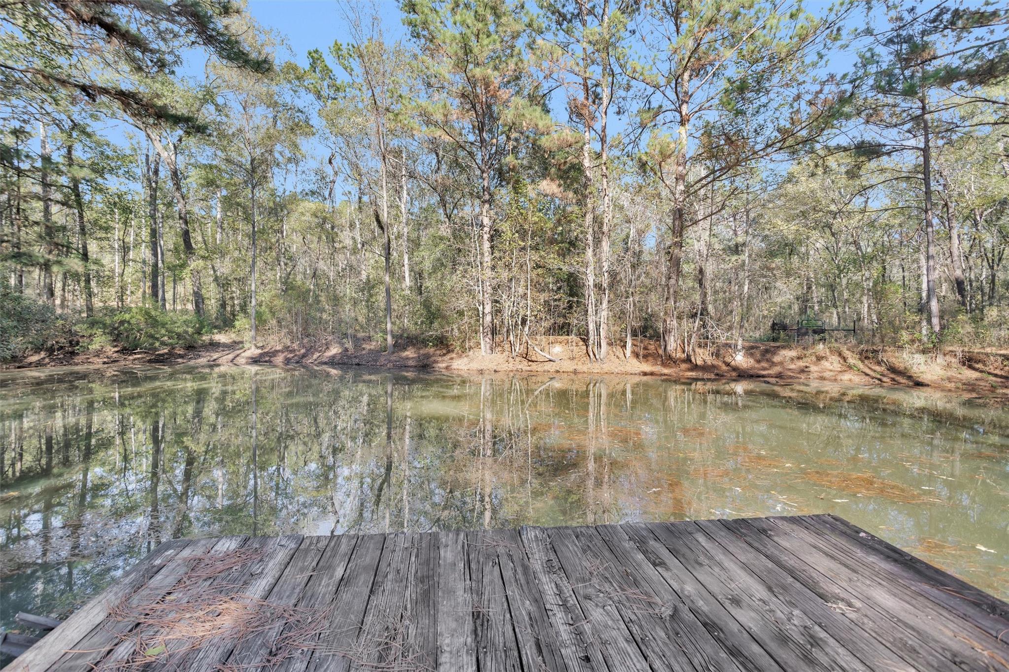 27789 Armadillo Road