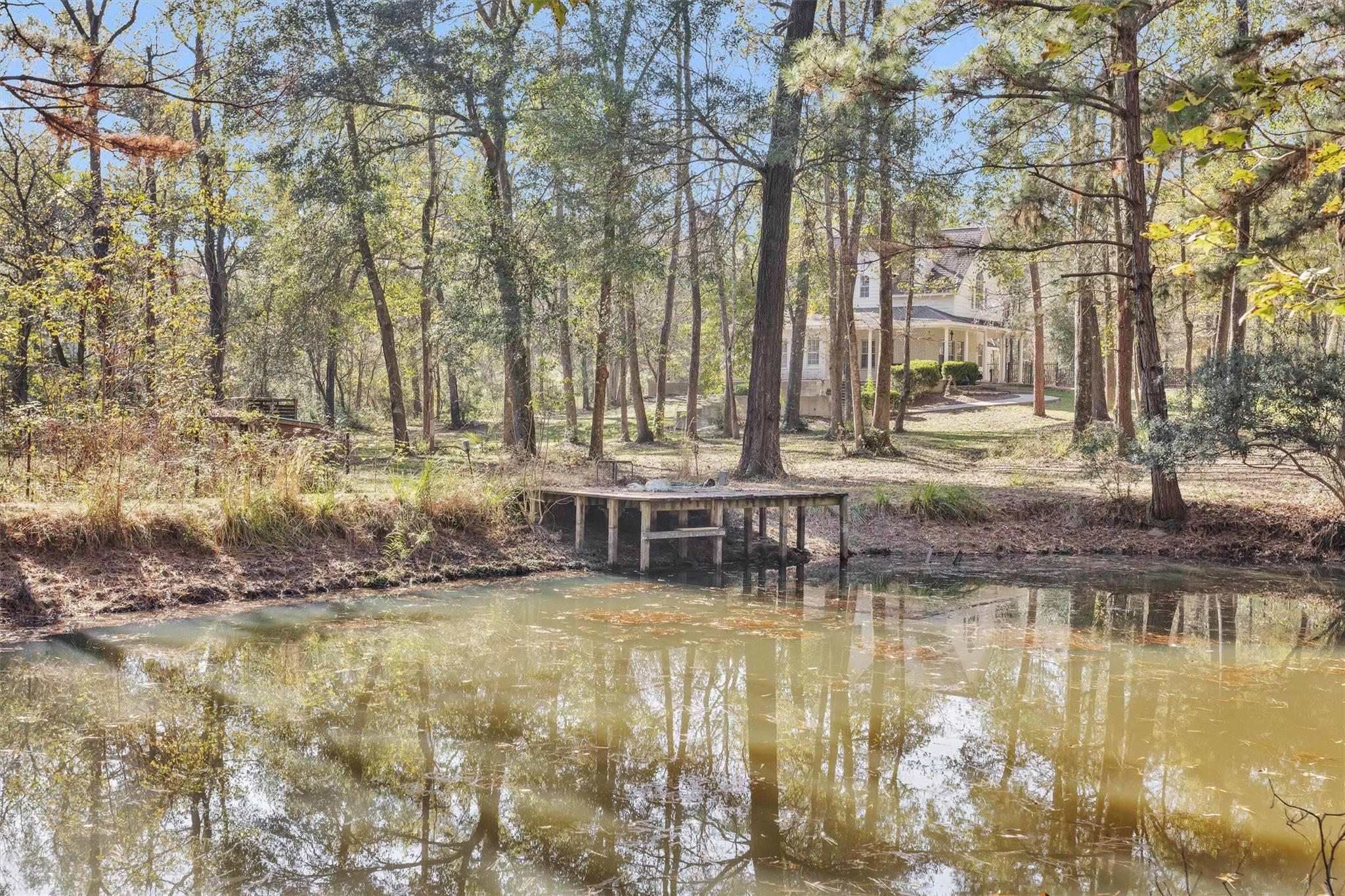 27789 Armadillo Road