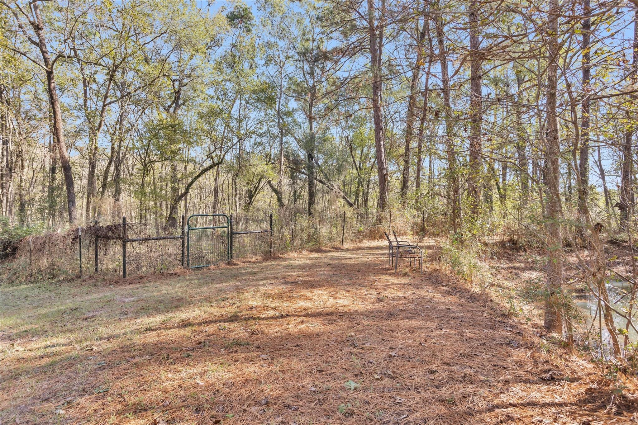 27789 Armadillo Road