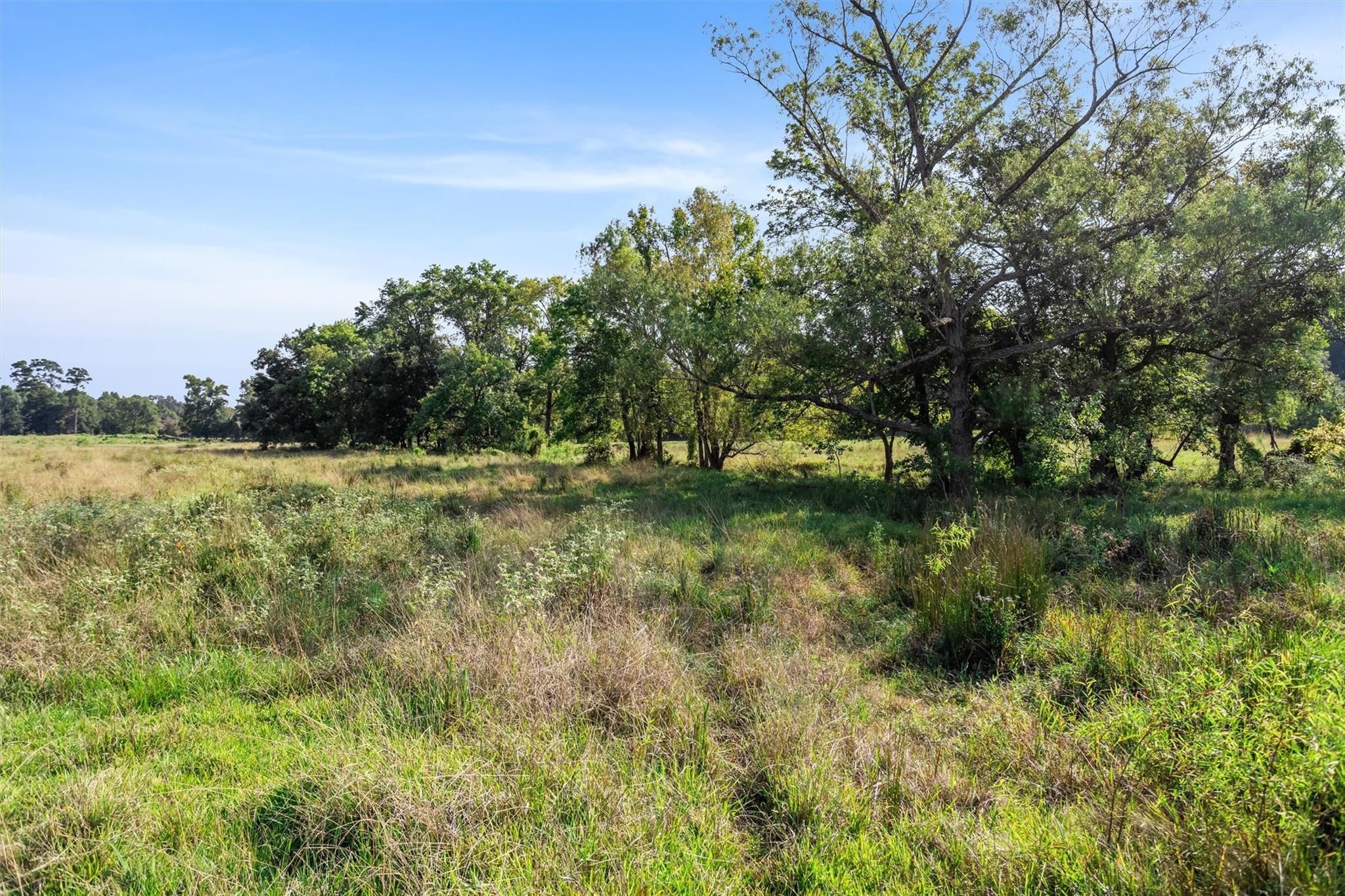 22.4 Acres Bailey Grove Road