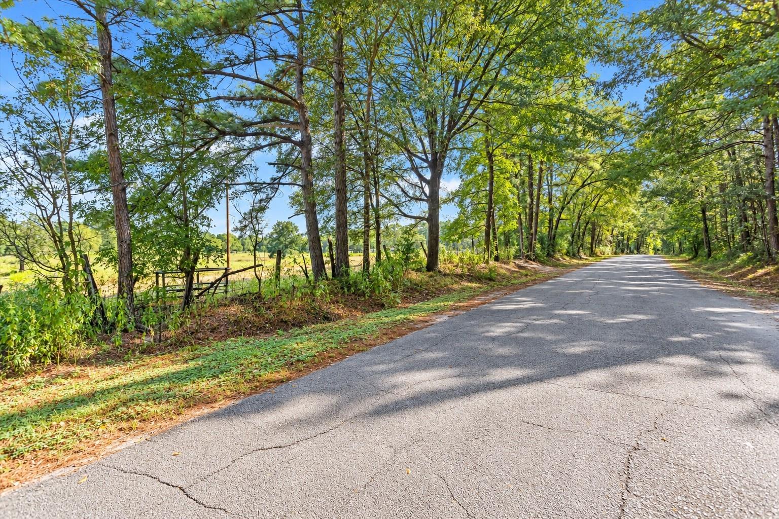 22.4 Acres Bailey Grove Road