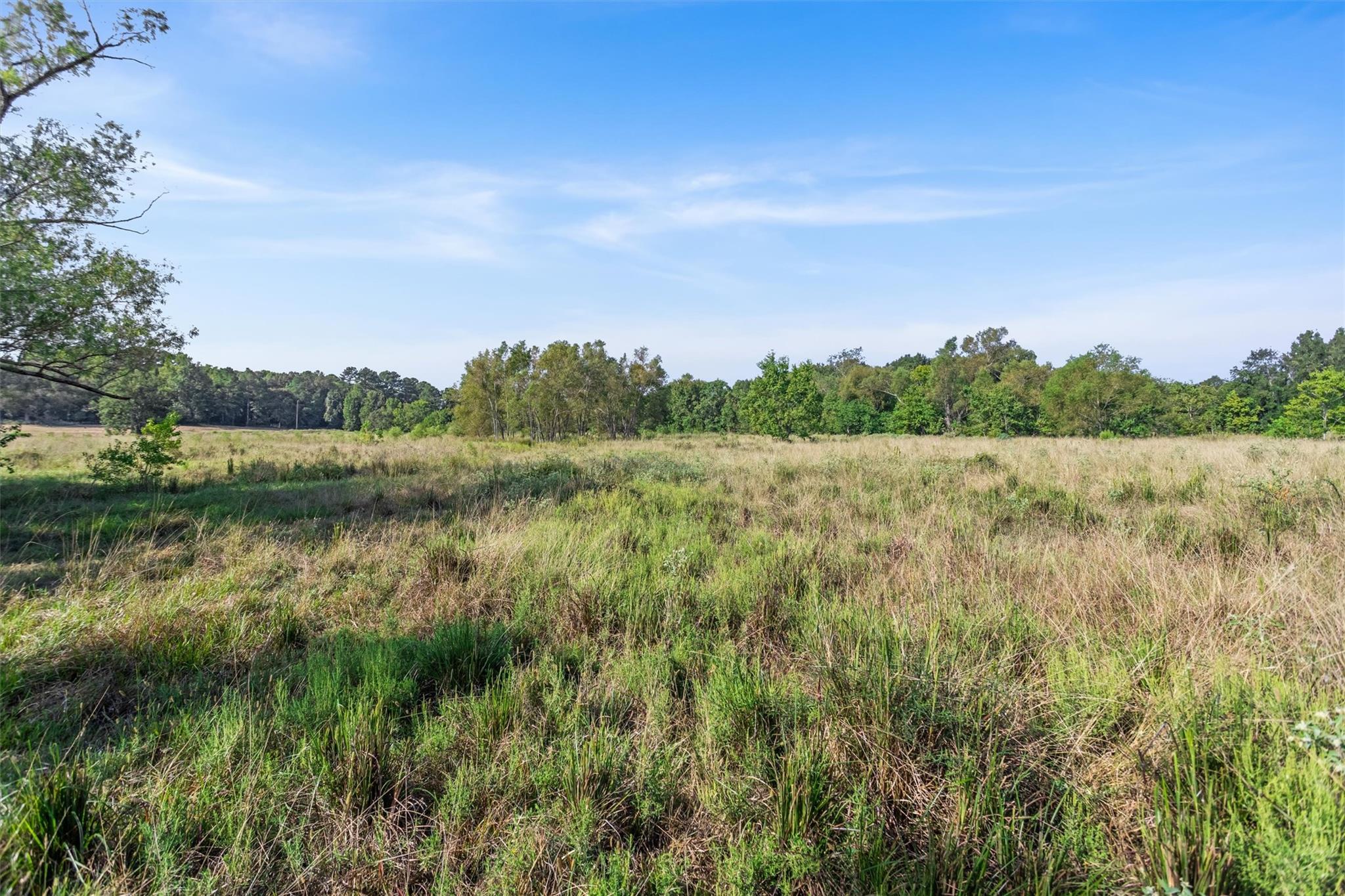 22.4 Acres Bailey Grove Road
