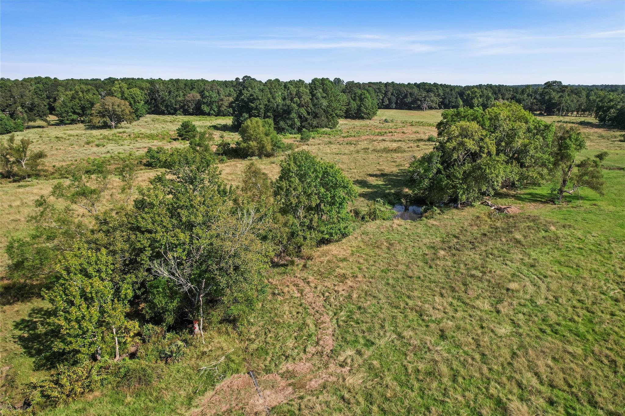22.4 Acres Bailey Grove Road