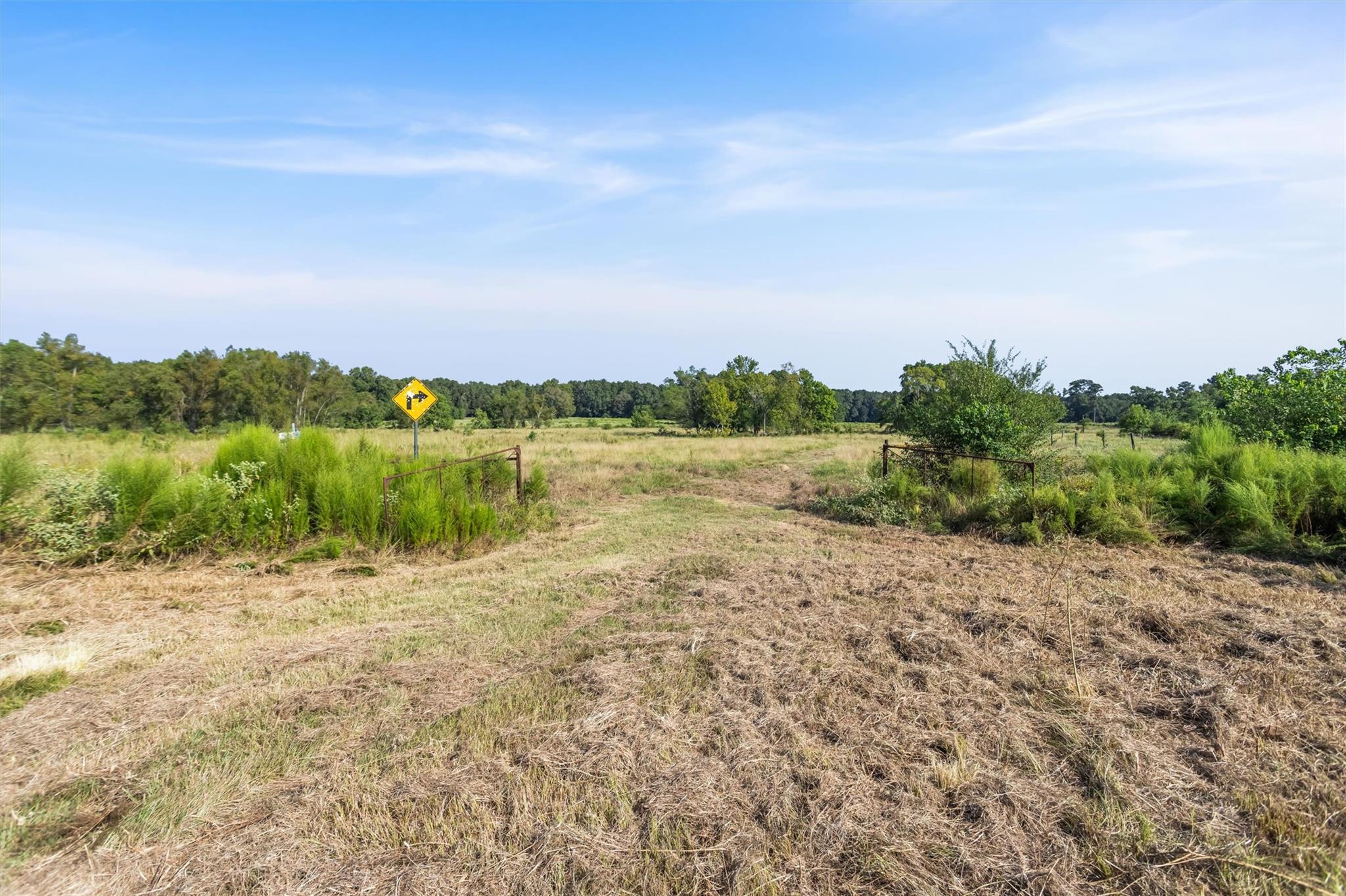 22.4 Acres Bailey Grove Road