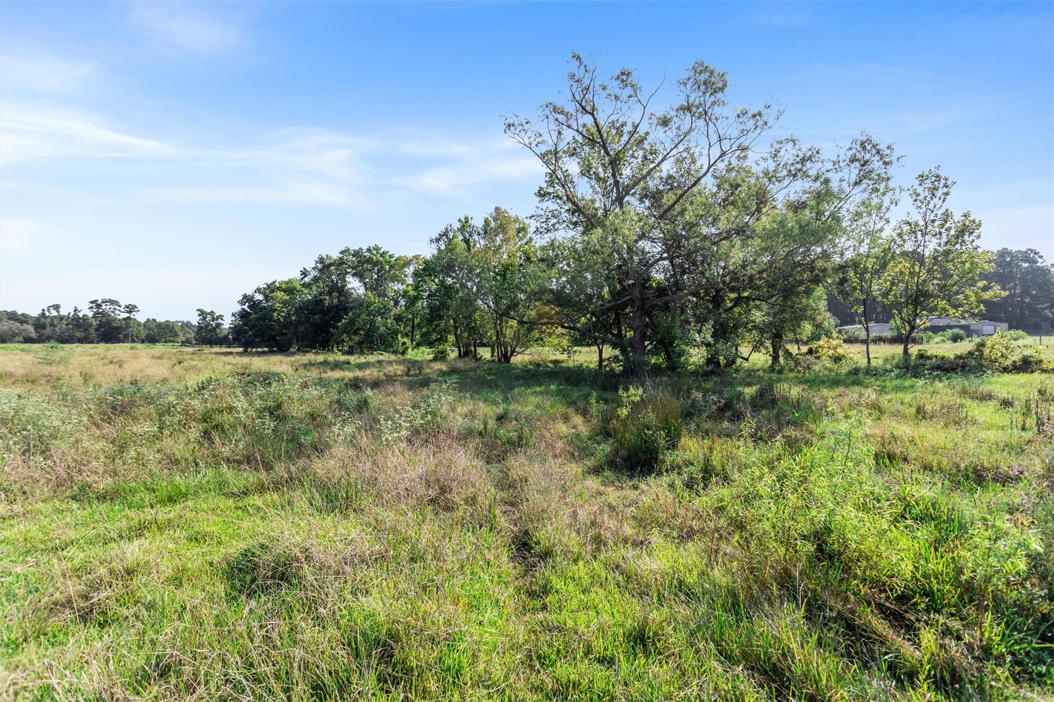 22.4 Acres Bailey Grove Road