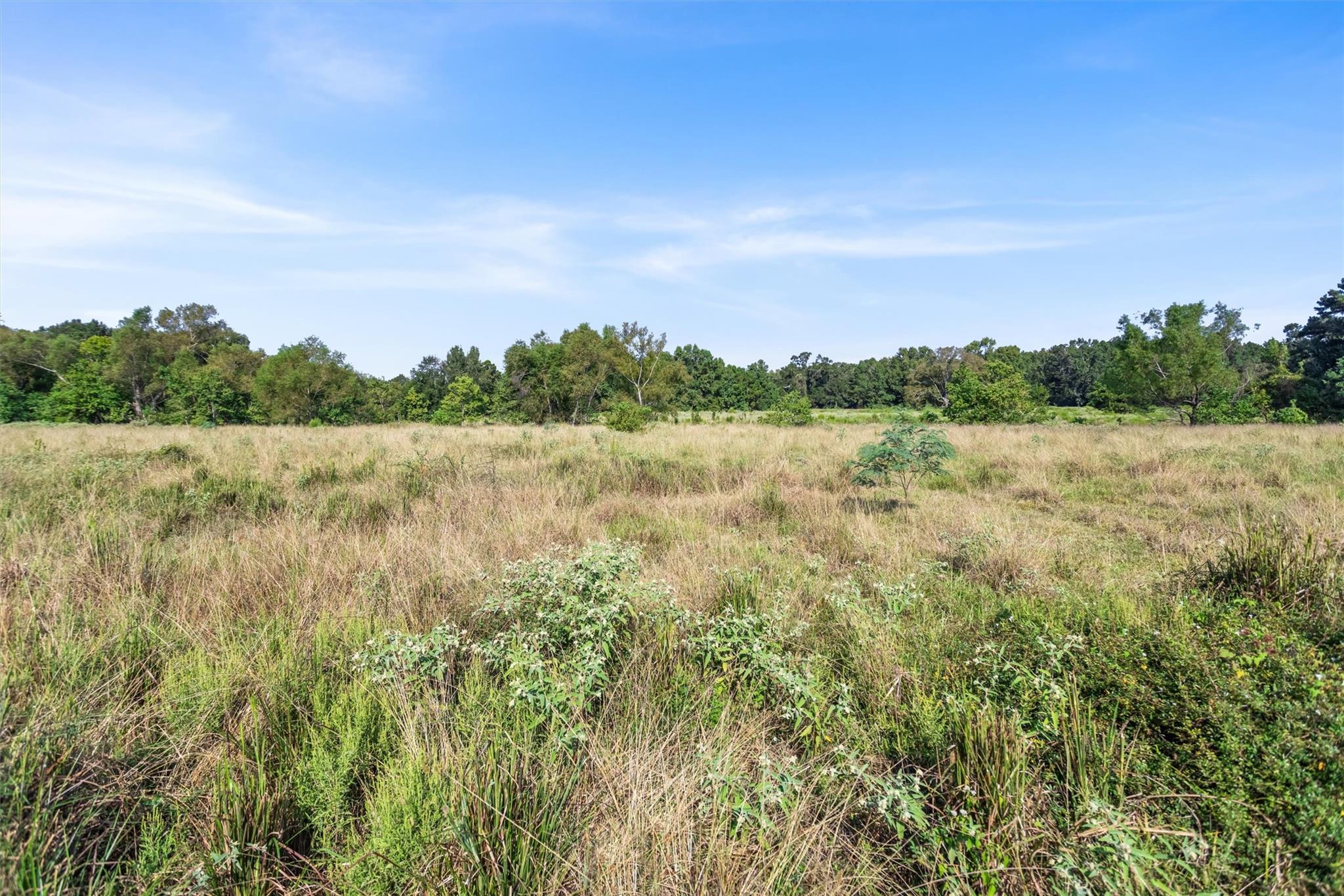 22.4 Acres Bailey Grove Road
