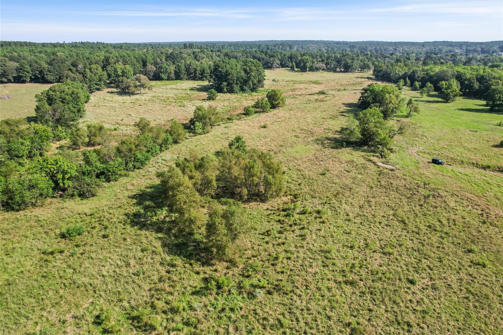 22.4 Acres Bailey Grove Road